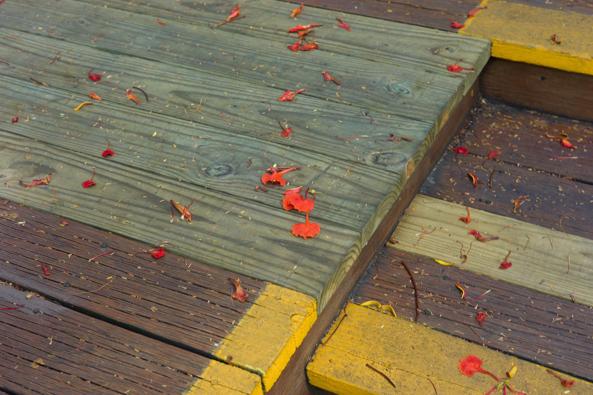 Leica M9 + Summicron-M 50mm f/2 (III) sample photo. Porch photography