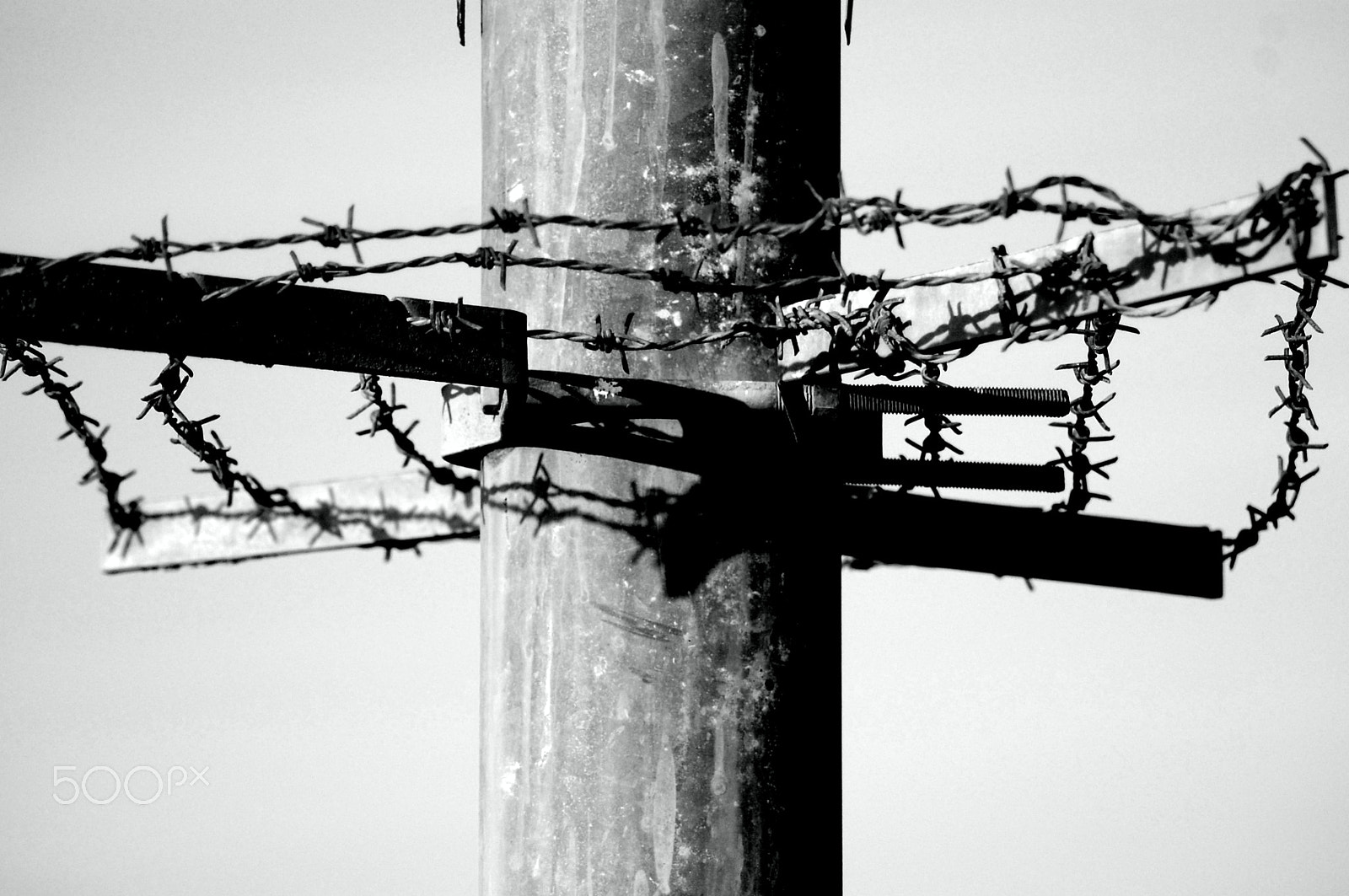 Nikon AF Nikkor 70-300mm F4-5.6G sample photo. Barbed wires photography