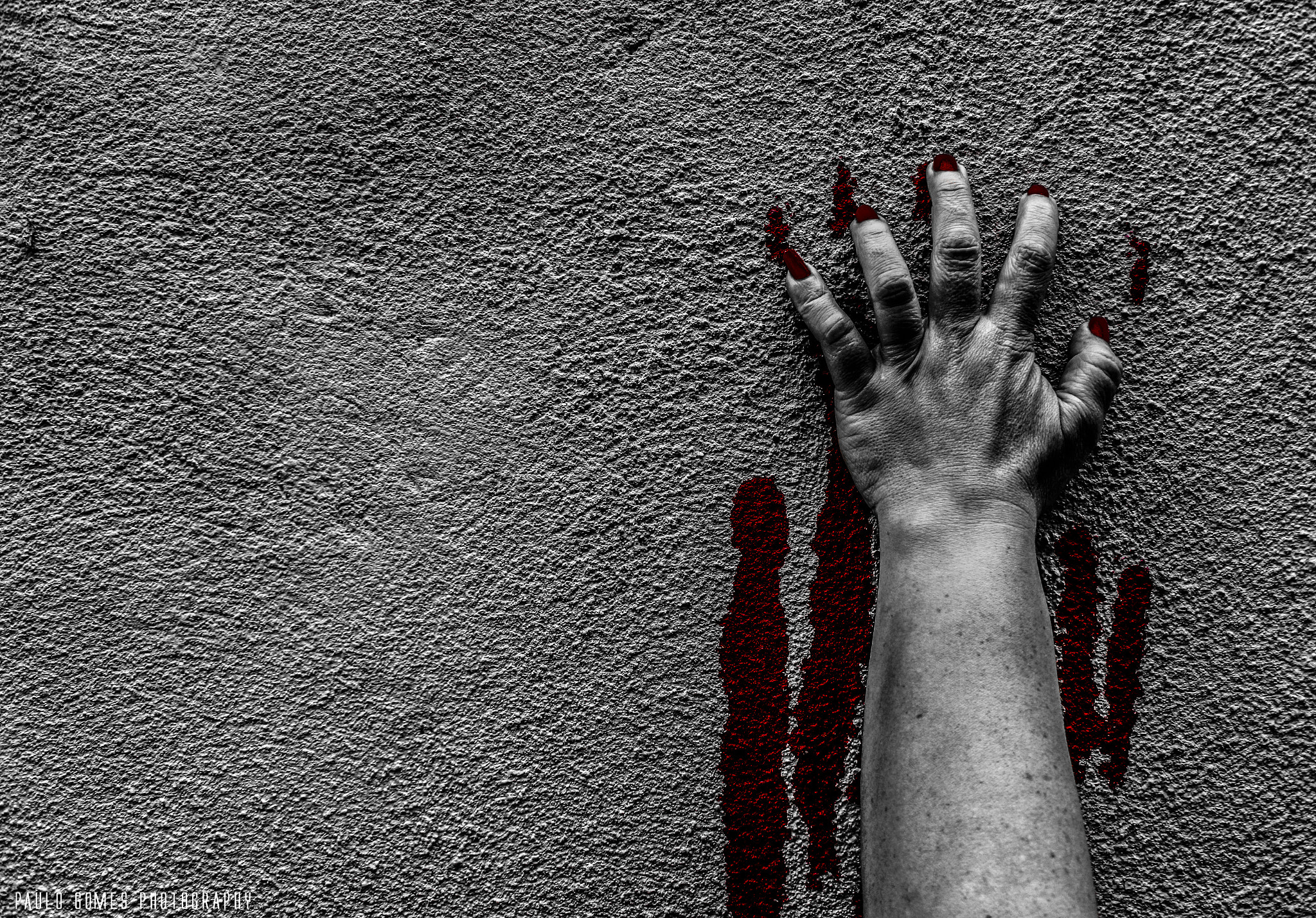 Nikon 1 J5 sample photo. Whatever the fight the winner will always come out with wounds photography