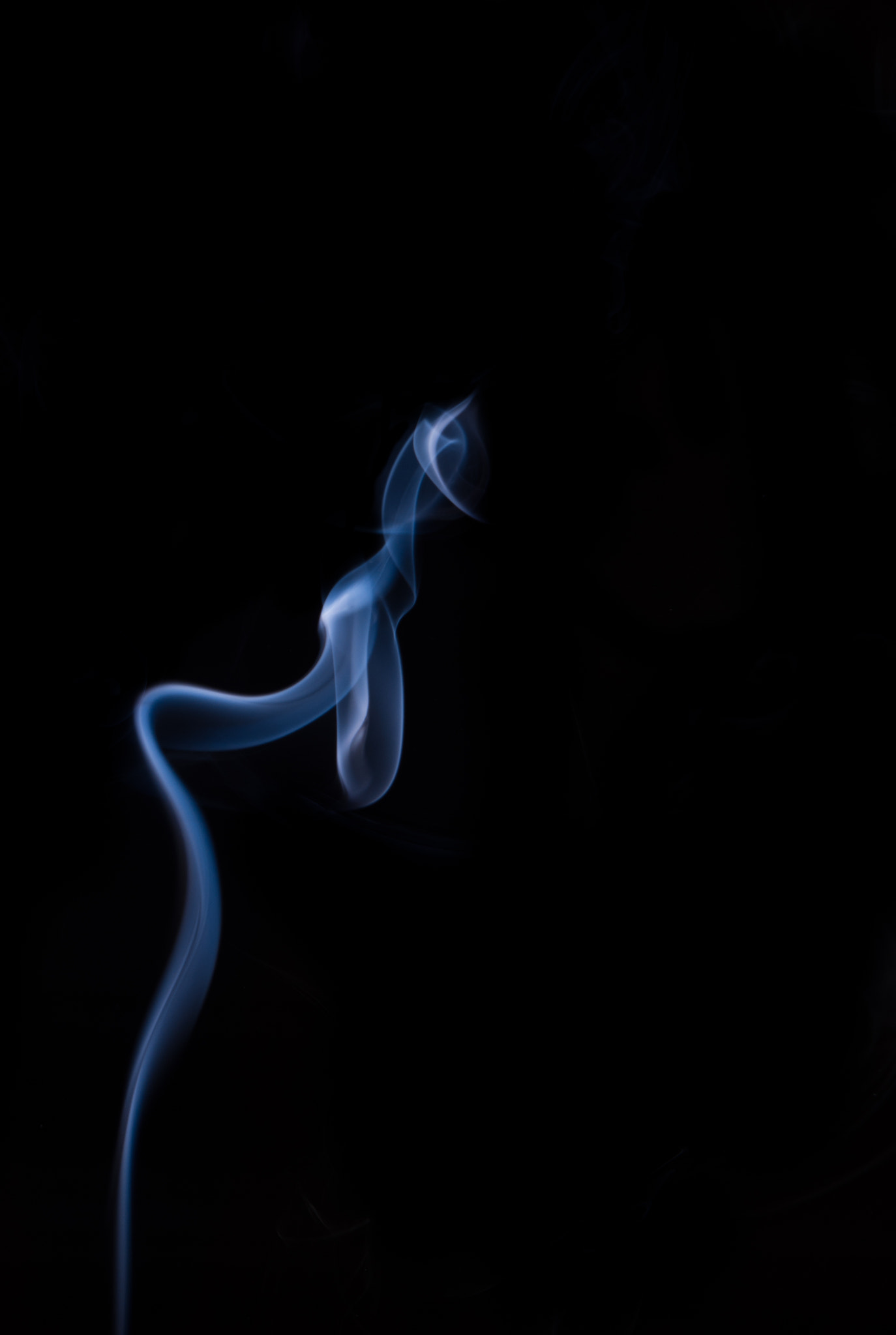 Nikon D7200 sample photo. She's blue photography