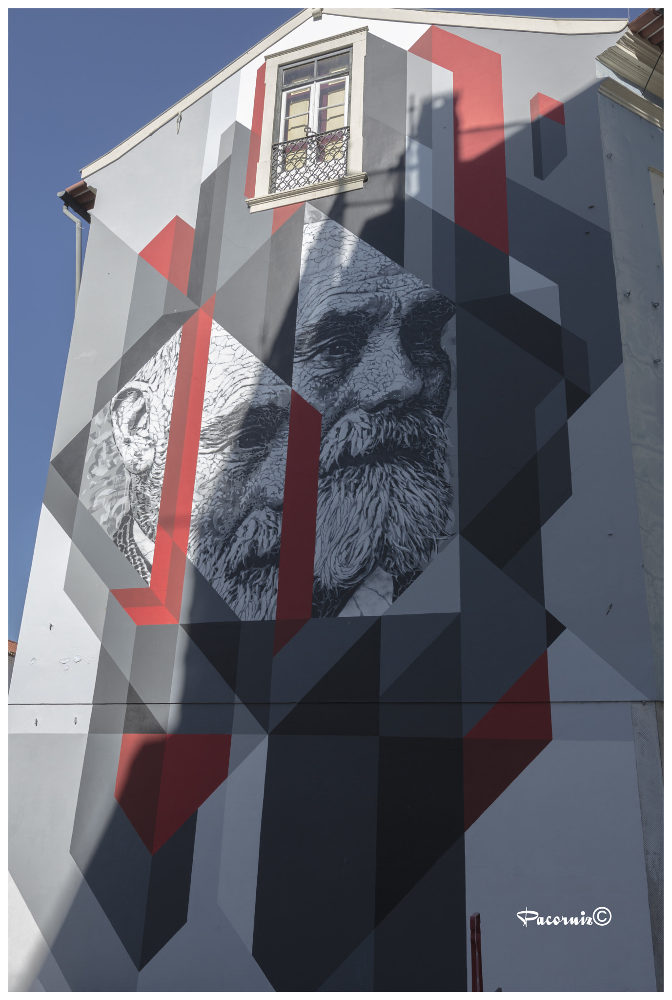 Nikon AF-S Nikkor 14-24mm F2.8G ED sample photo. Mural photography
