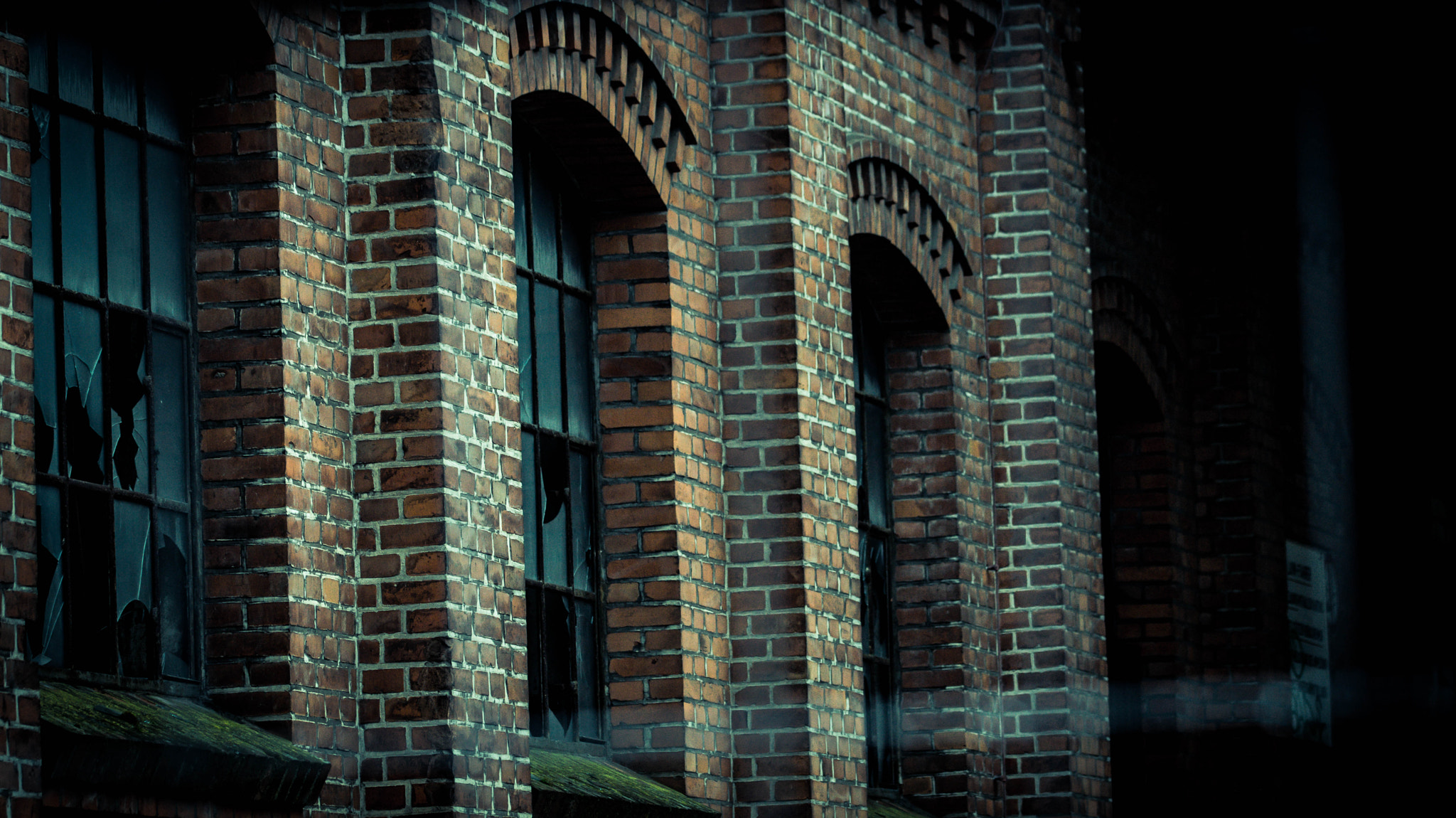 Sony SLT-A58 + 105mm F2.8 sample photo. Broken windows photography