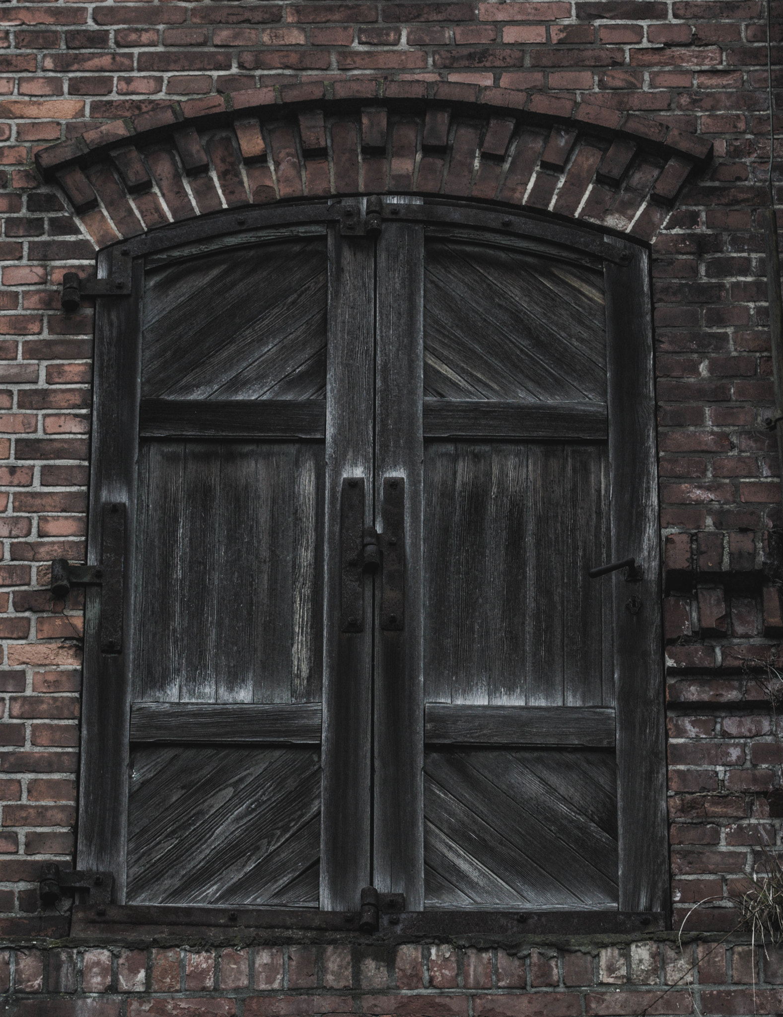 Sony SLT-A58 + 105mm F2.8 sample photo. Flying door photography