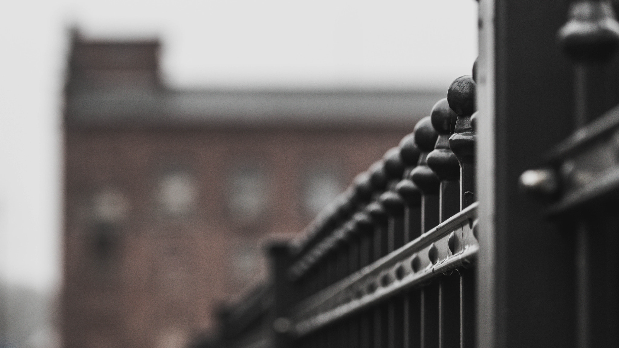 Sony SLT-A58 + 105mm F2.8 sample photo. Fence photography