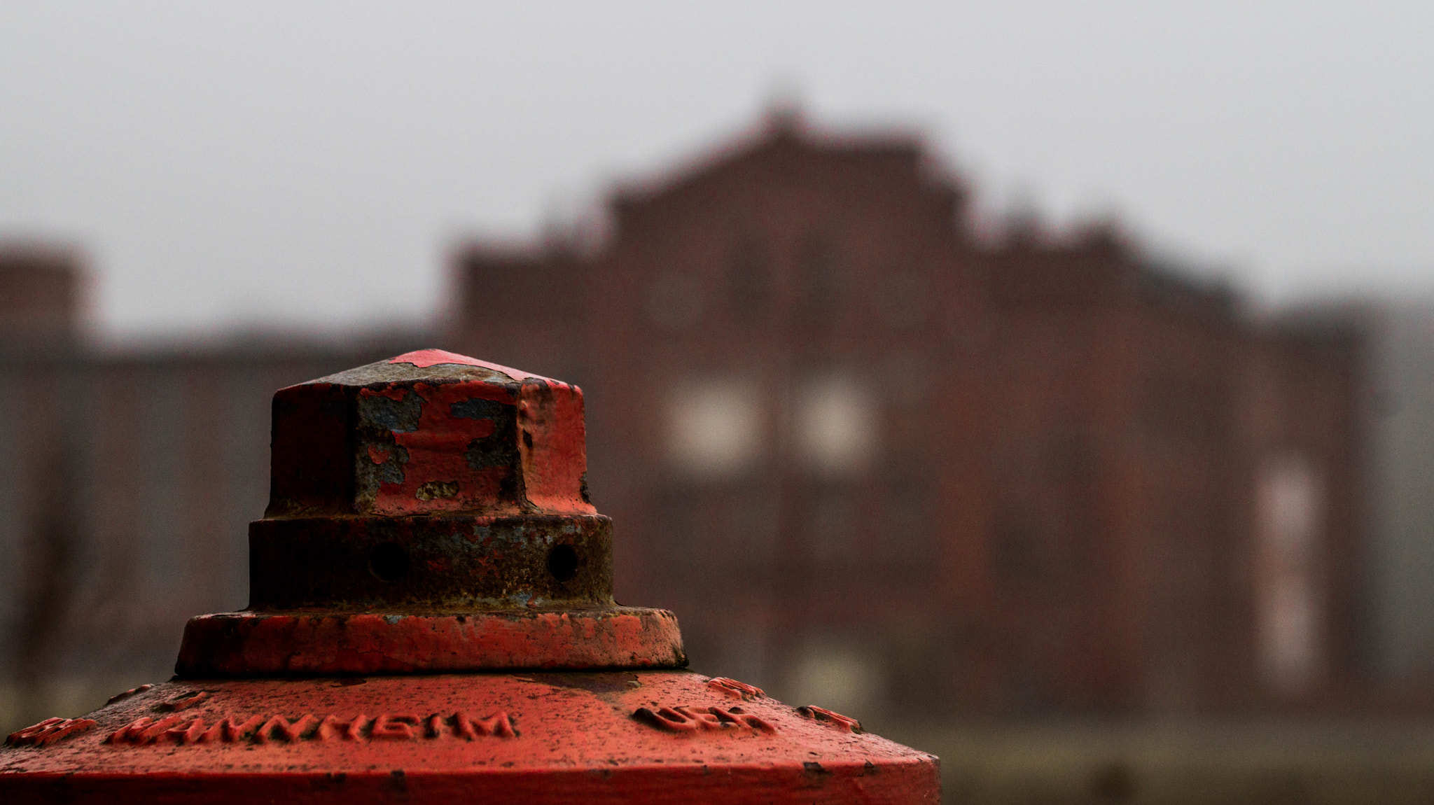 Sony SLT-A58 + 105mm F2.8 sample photo. Fireplug photography