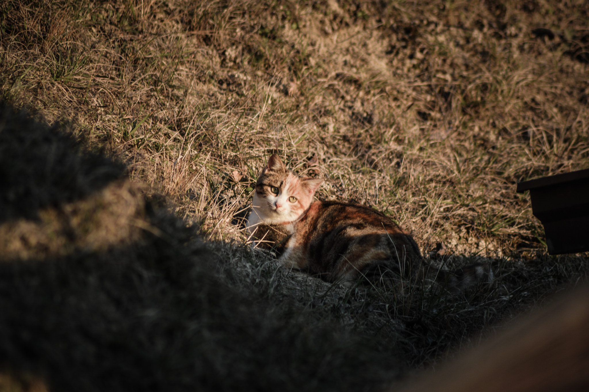 Nikon D3200 sample photo
