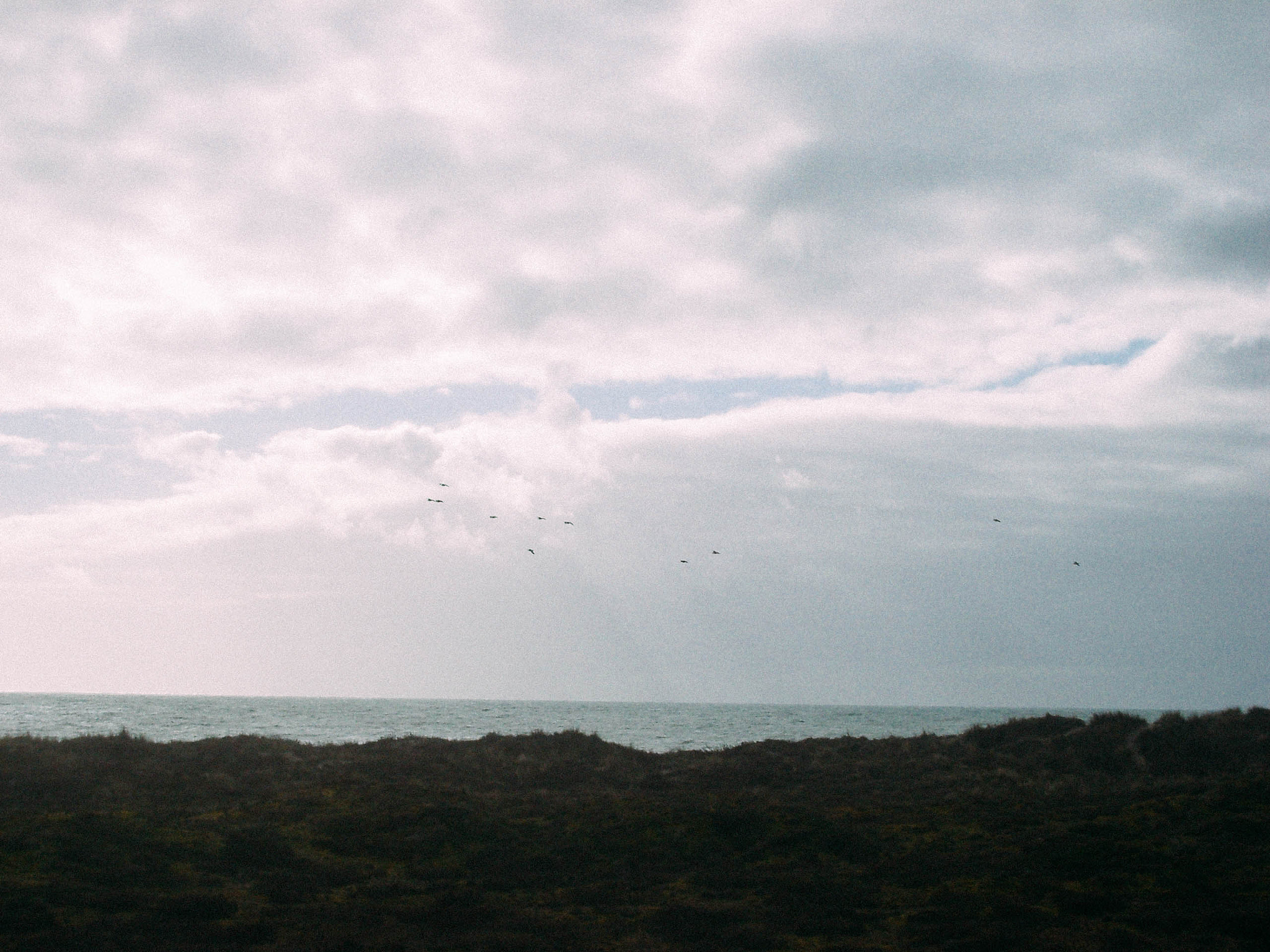 Pentax OPTIO S5Z sample photo. Winter sea photography