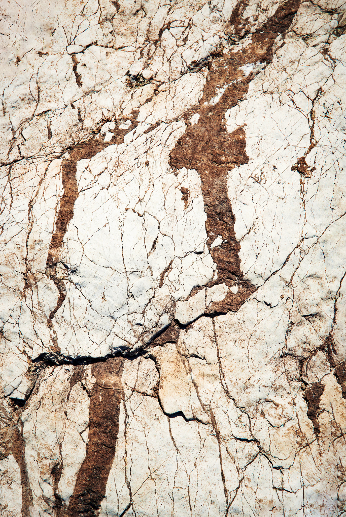 Nikon D5500 sample photo. White limestone clay soil photography