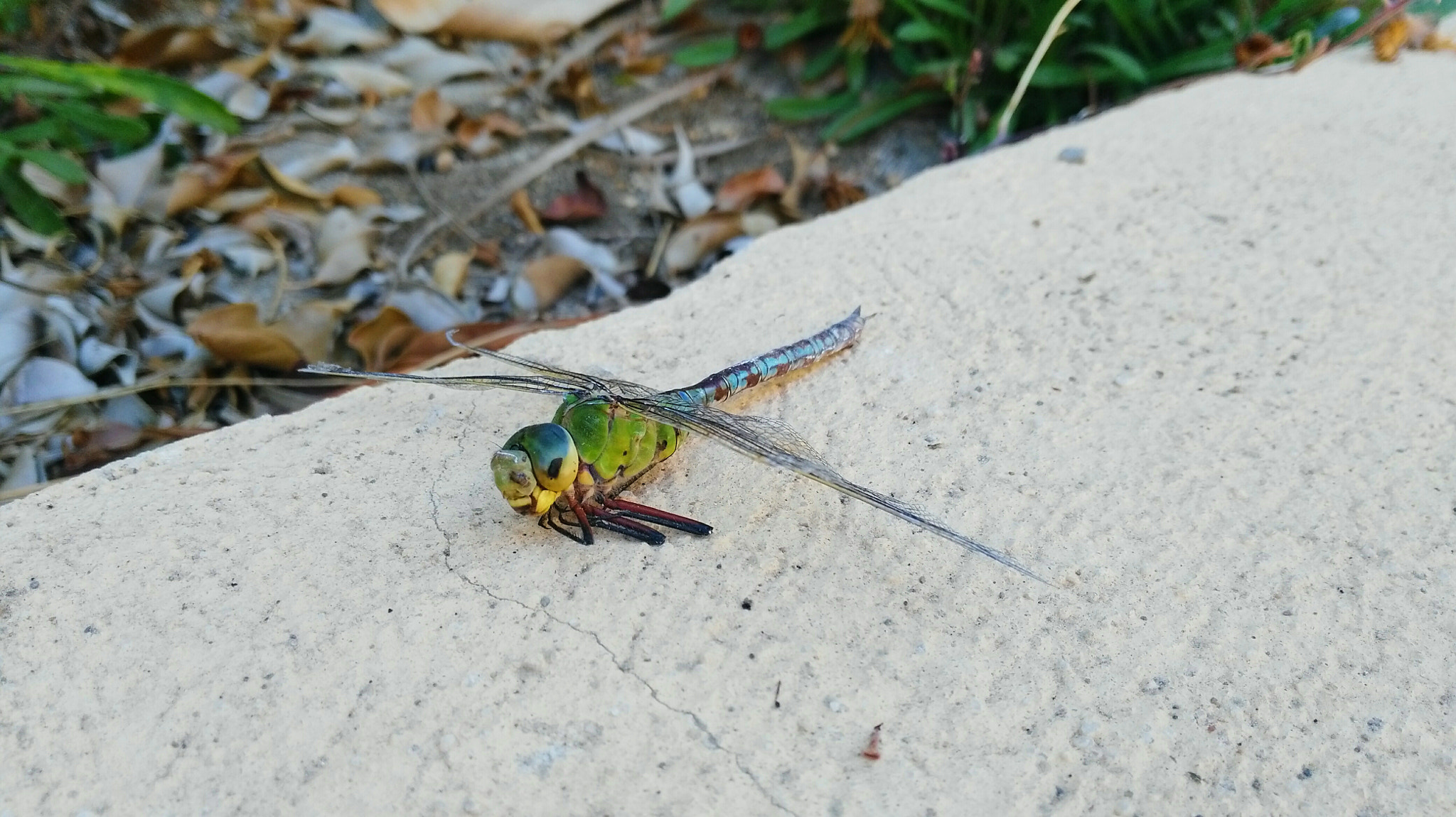 HUAWEI G7-L01 sample photo