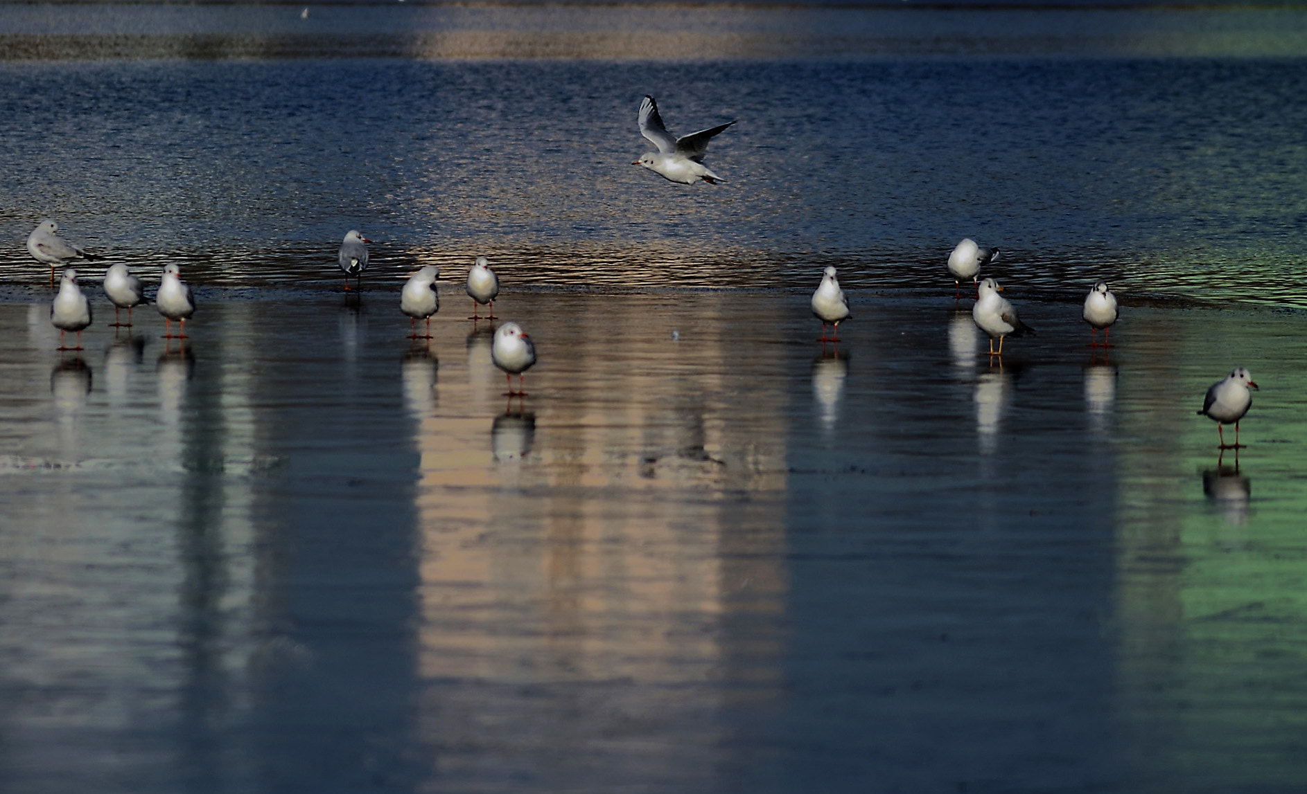 Sigma 105mm F2.8 EX DG OS HSM sample photo. Frozen lake photography