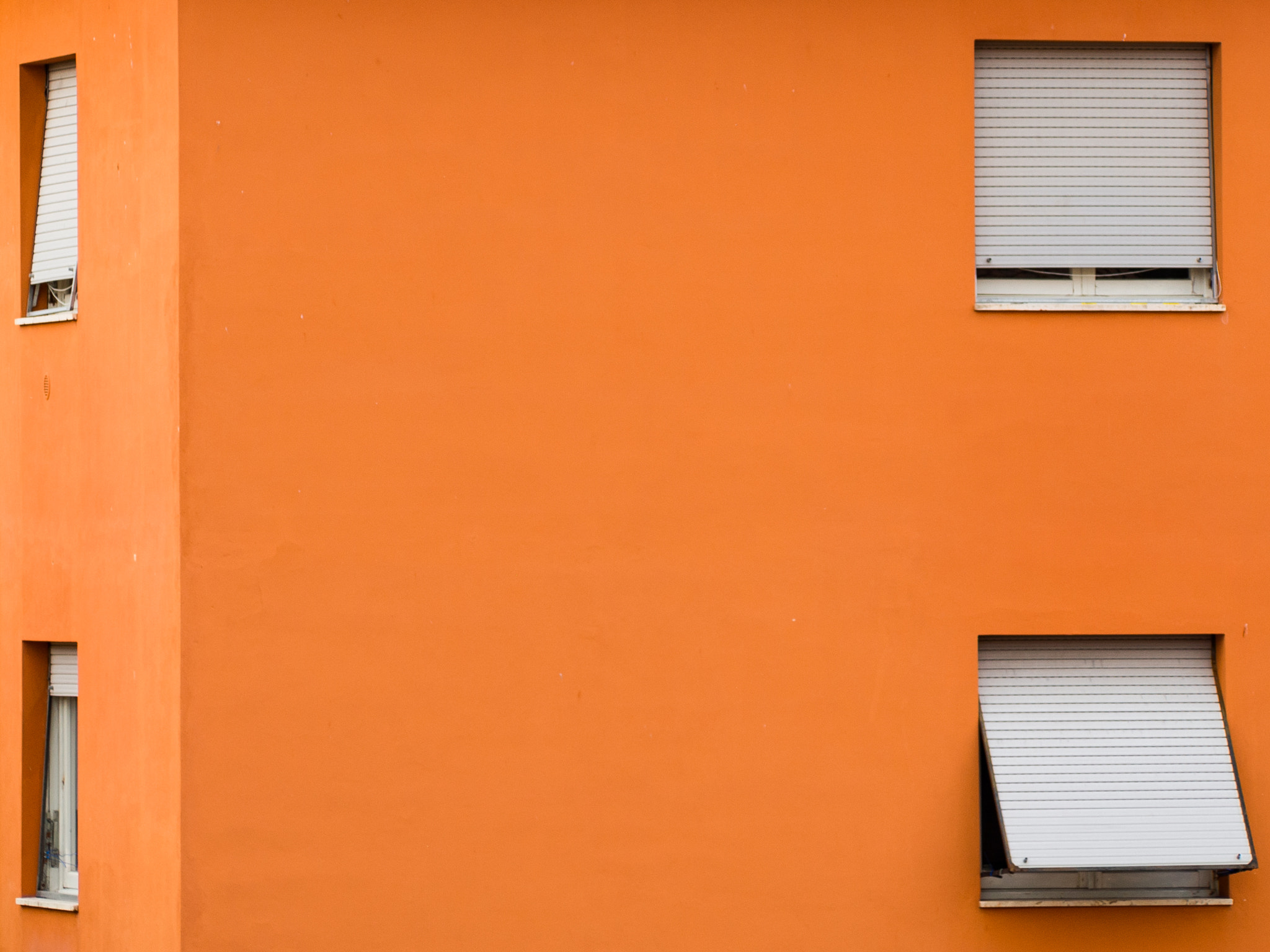 Olympus OM-D E-M10 sample photo. Passione arancio photography