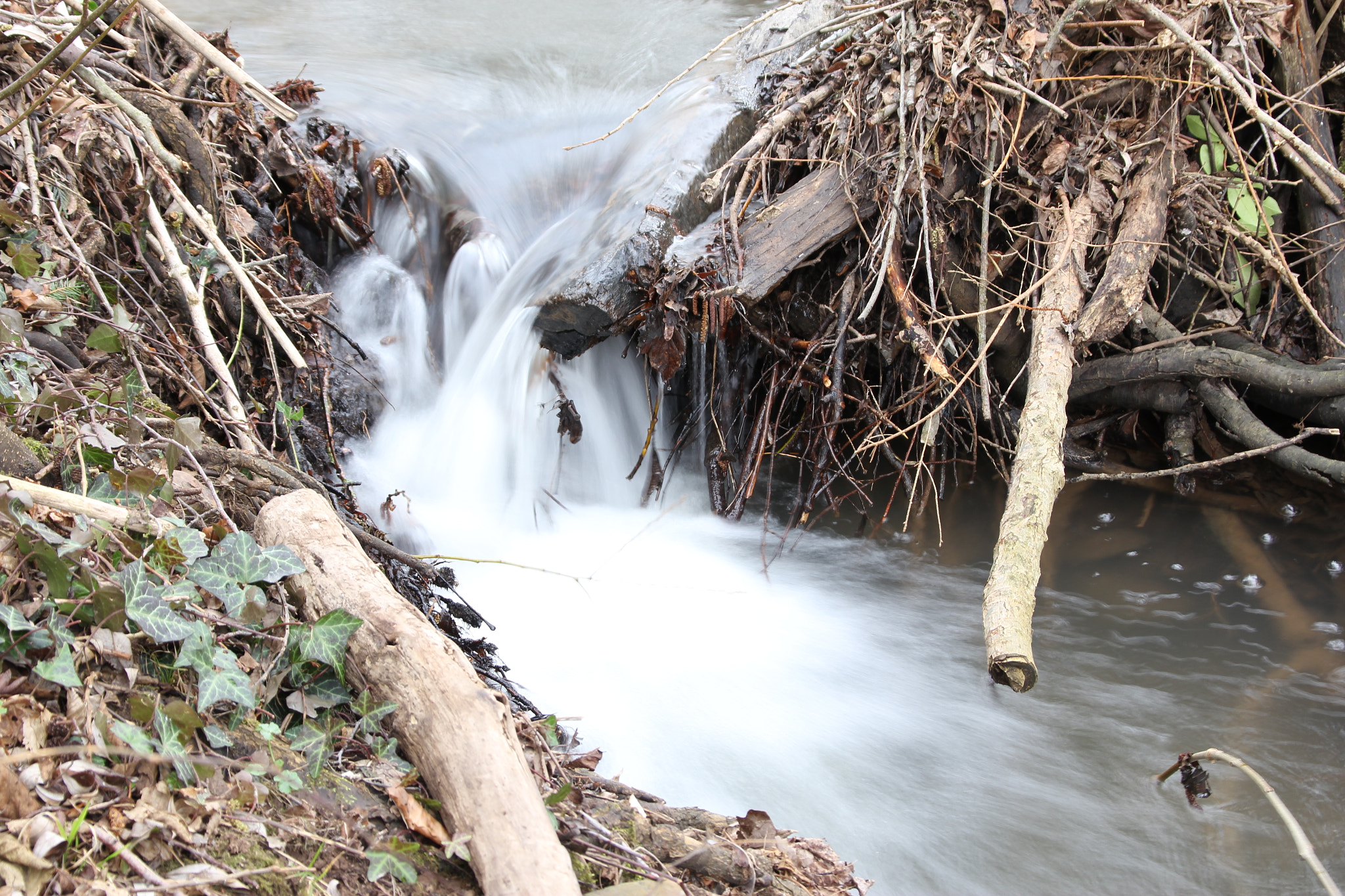 Canon TS-E 90mm F2.8 Tilt-Shift sample photo. A stream of water photography
