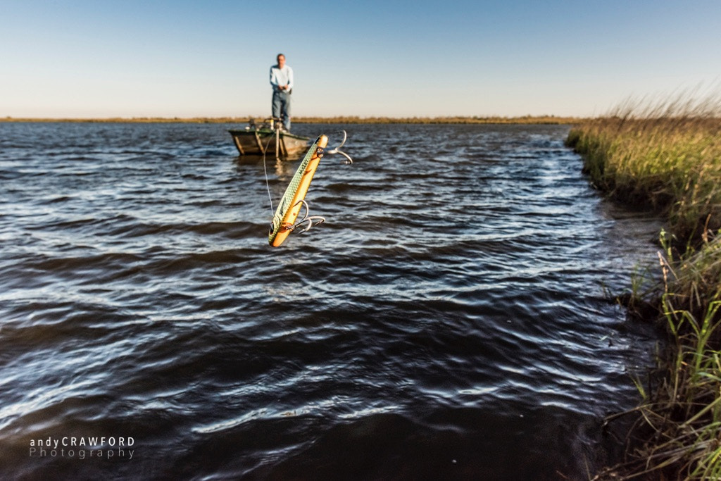 Nikon D810 + Nikon AF-S Nikkor 20mm F1.8G ED sample photo. Louisiana fishing photography