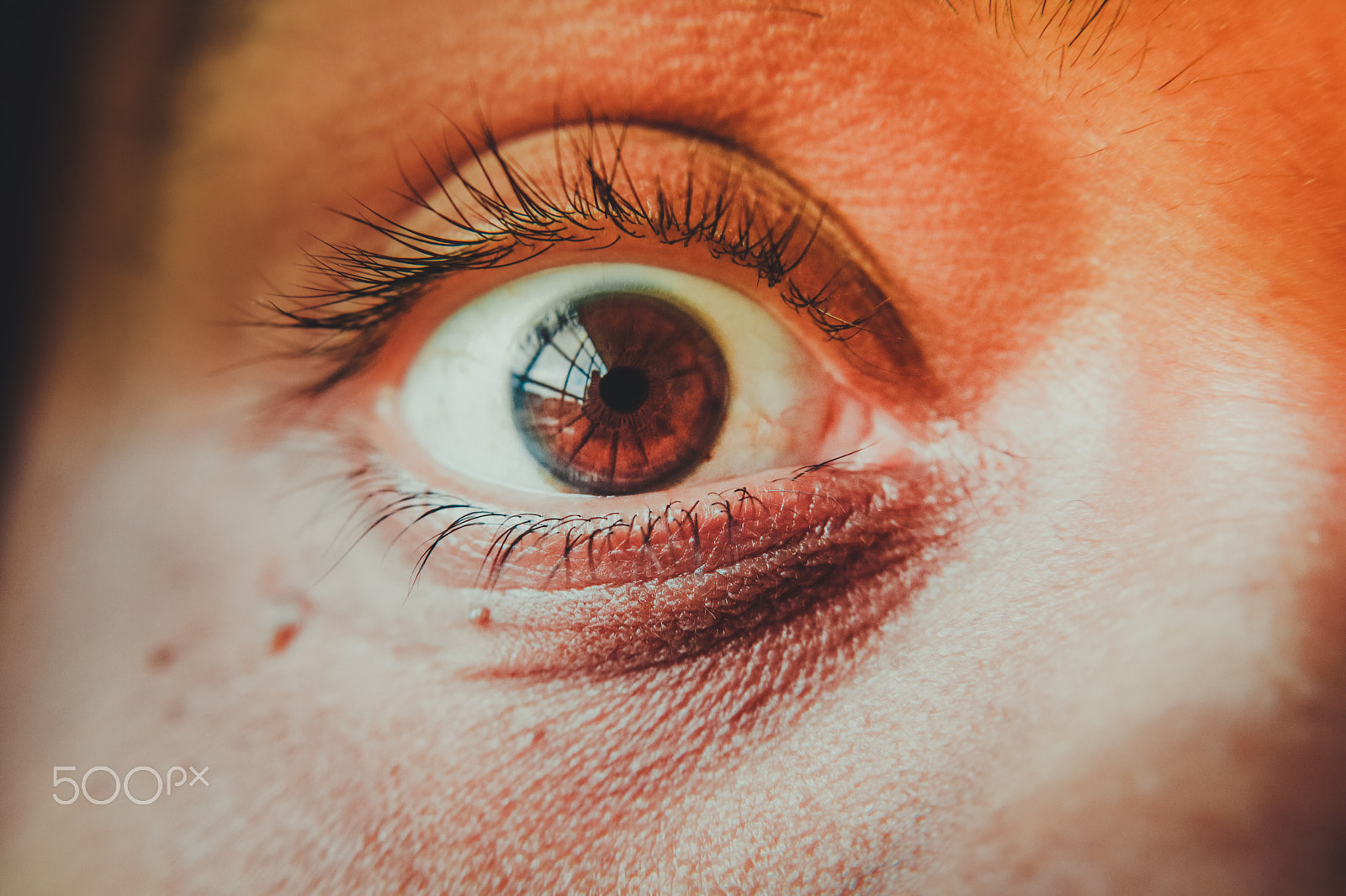 Canon EF-S 18-55mm F3.5-5.6 II sample photo. Aperture blades of the human eye photography