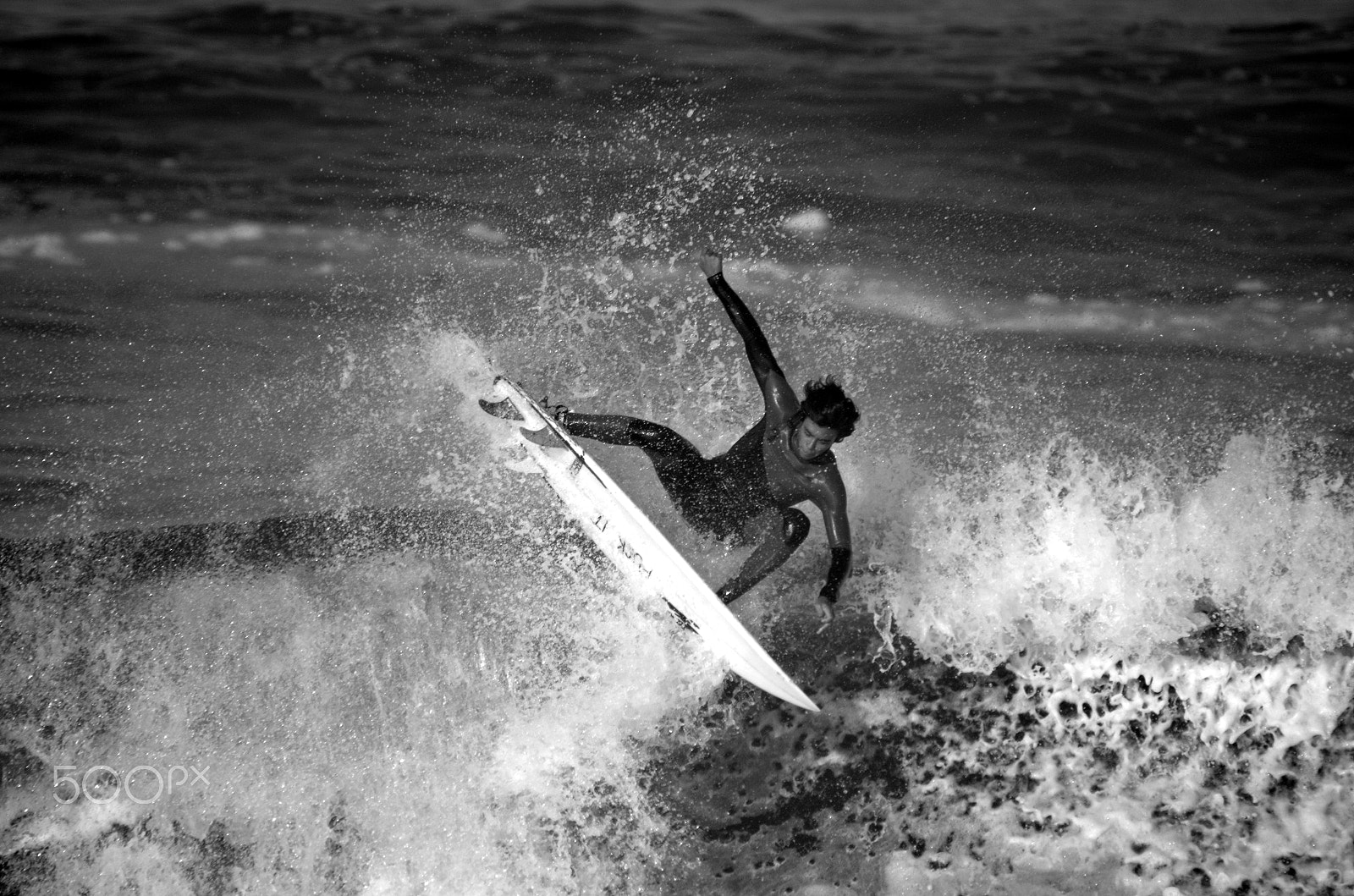 Sigma 150-500mm F5-6.3 DG OS HSM sample photo. La vida es mas real en blanco/negro! photography