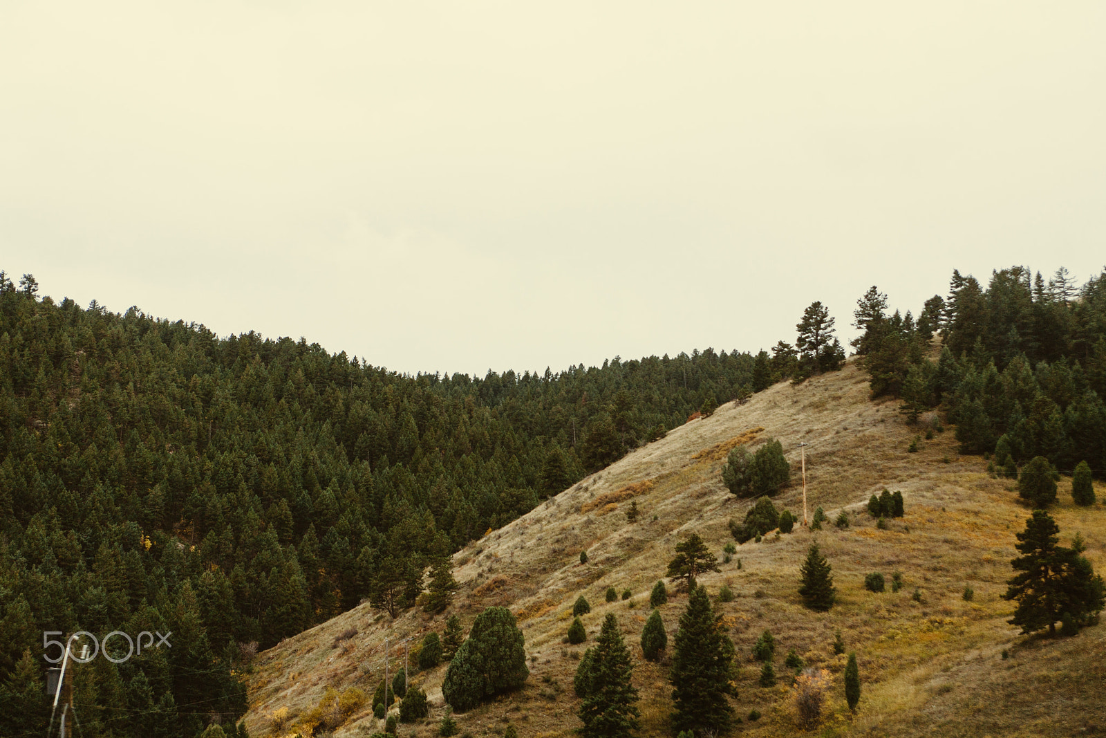 Canon EOS 5D + EF28-70mm f/2.8L USM sample photo. Colorado autumn photography