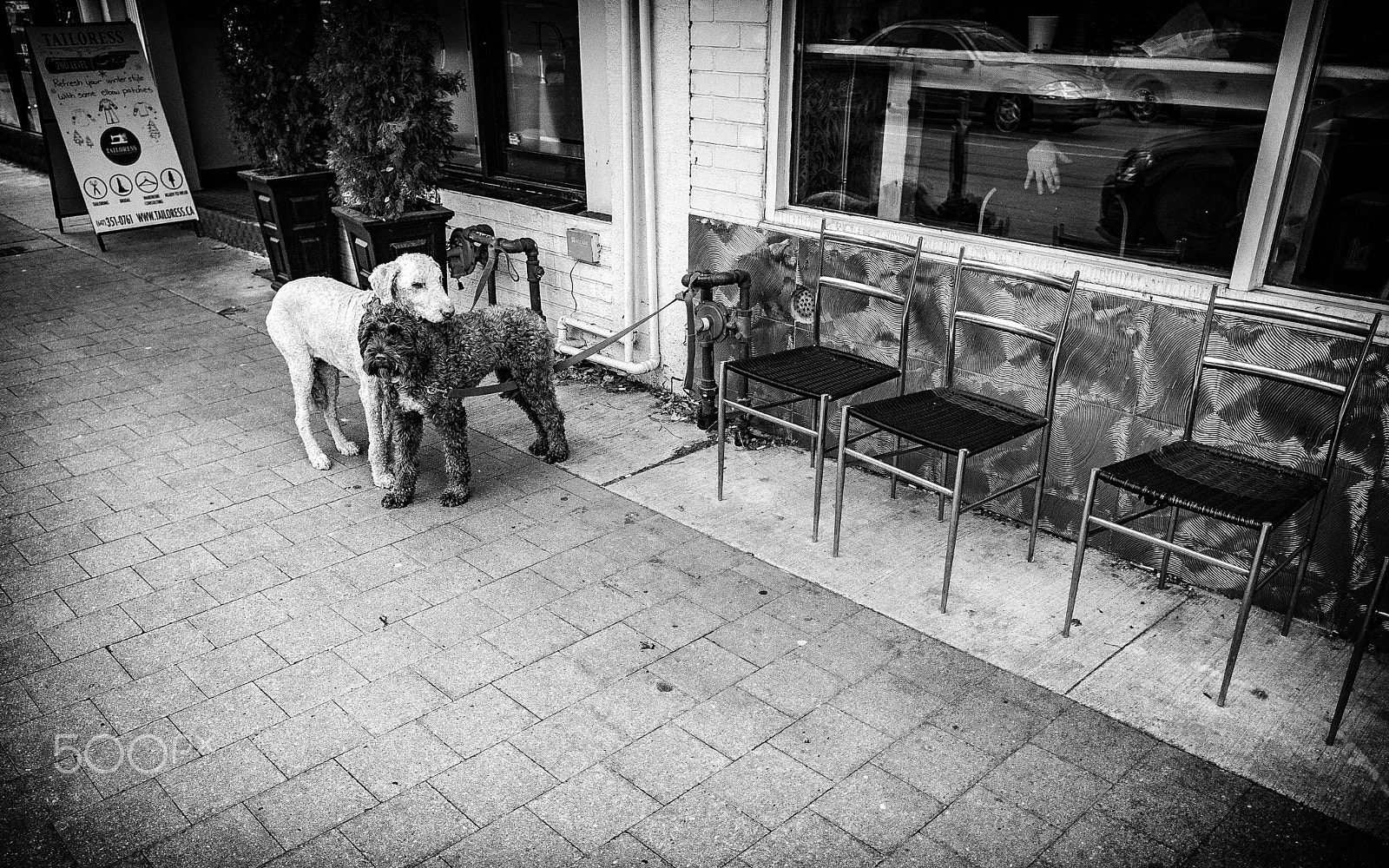 Olympus OM-D E-M10 II + OLYMPUS M.12mm F2.0 sample photo. 2friends3chairs photography