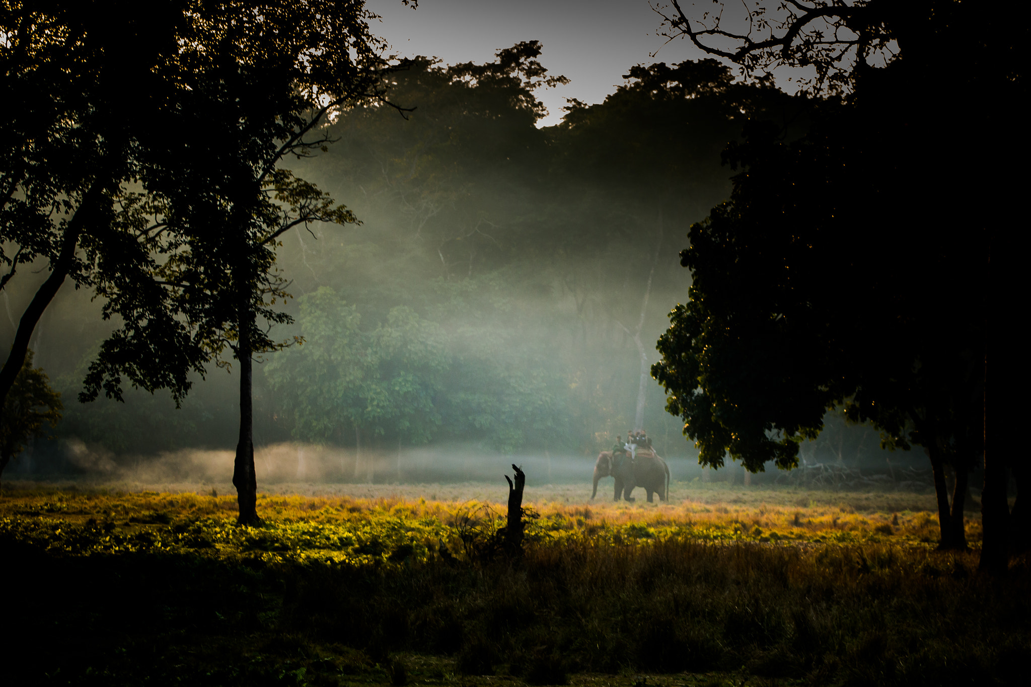 Canon EOS 70D + Canon EF 70-200mm F4L USM sample photo. Watching wildlife photography
