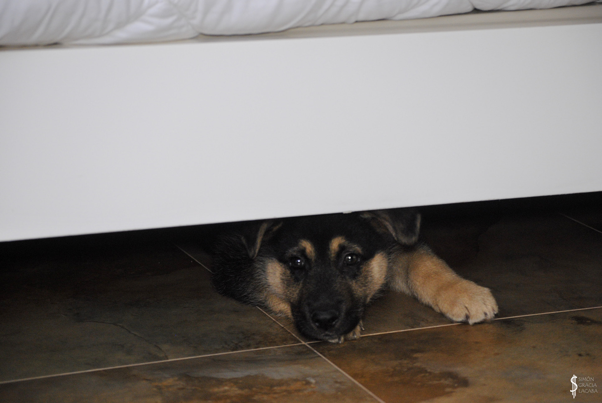 Nikon D3000 sample photo. The monster under the bed photography
