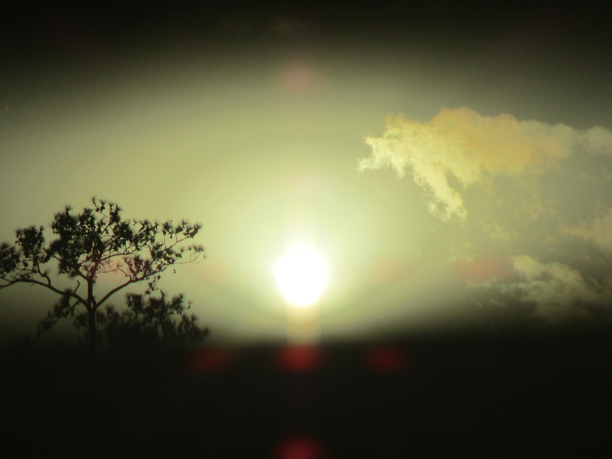 Canon PowerShot ELPH 180 (IXUS 175 / IXY 180) sample photo. Peeping through my blinds photography