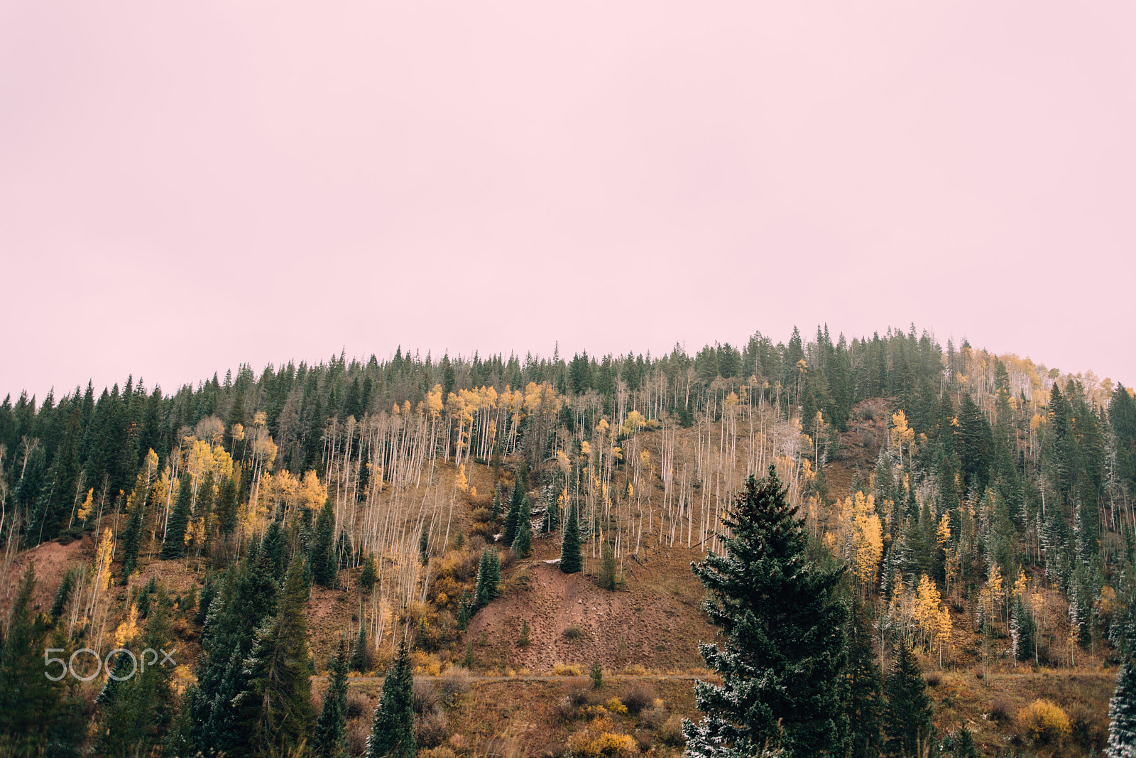 Canon EOS 5D + EF28-70mm f/2.8L USM sample photo. Colorado autumn no.3 photography