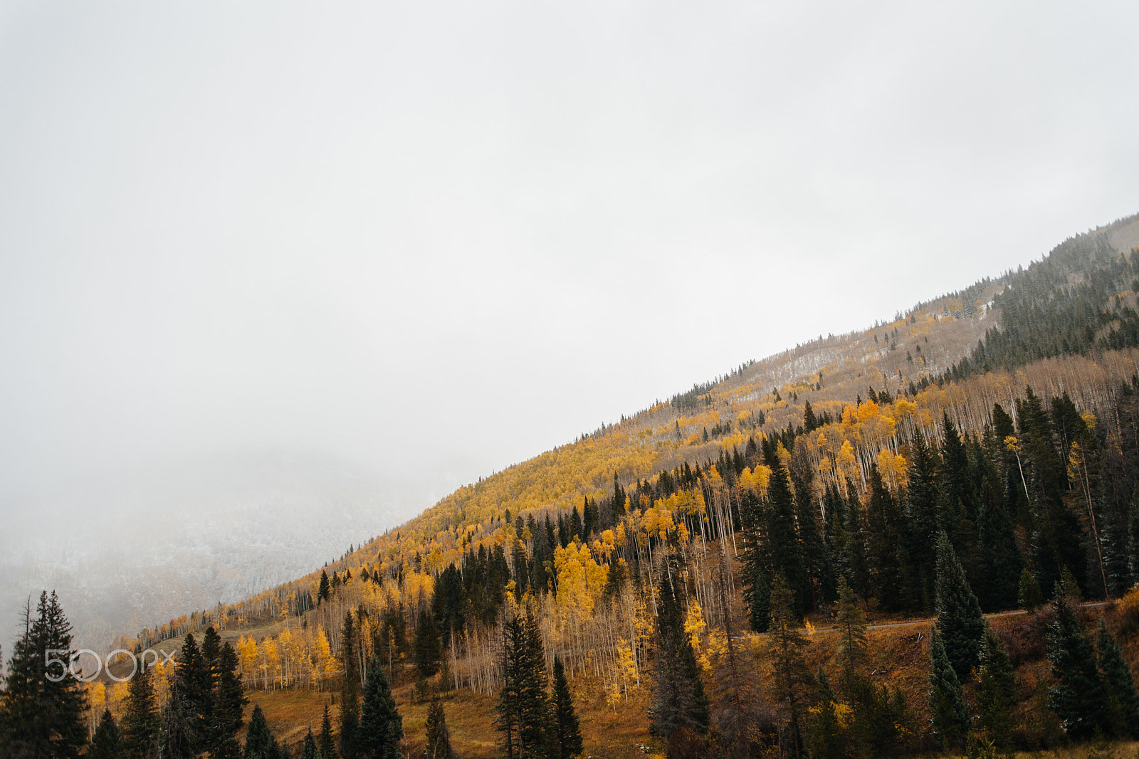 Canon EOS 5D + EF28-70mm f/2.8L USM sample photo. Colorado autumn no.2 photography