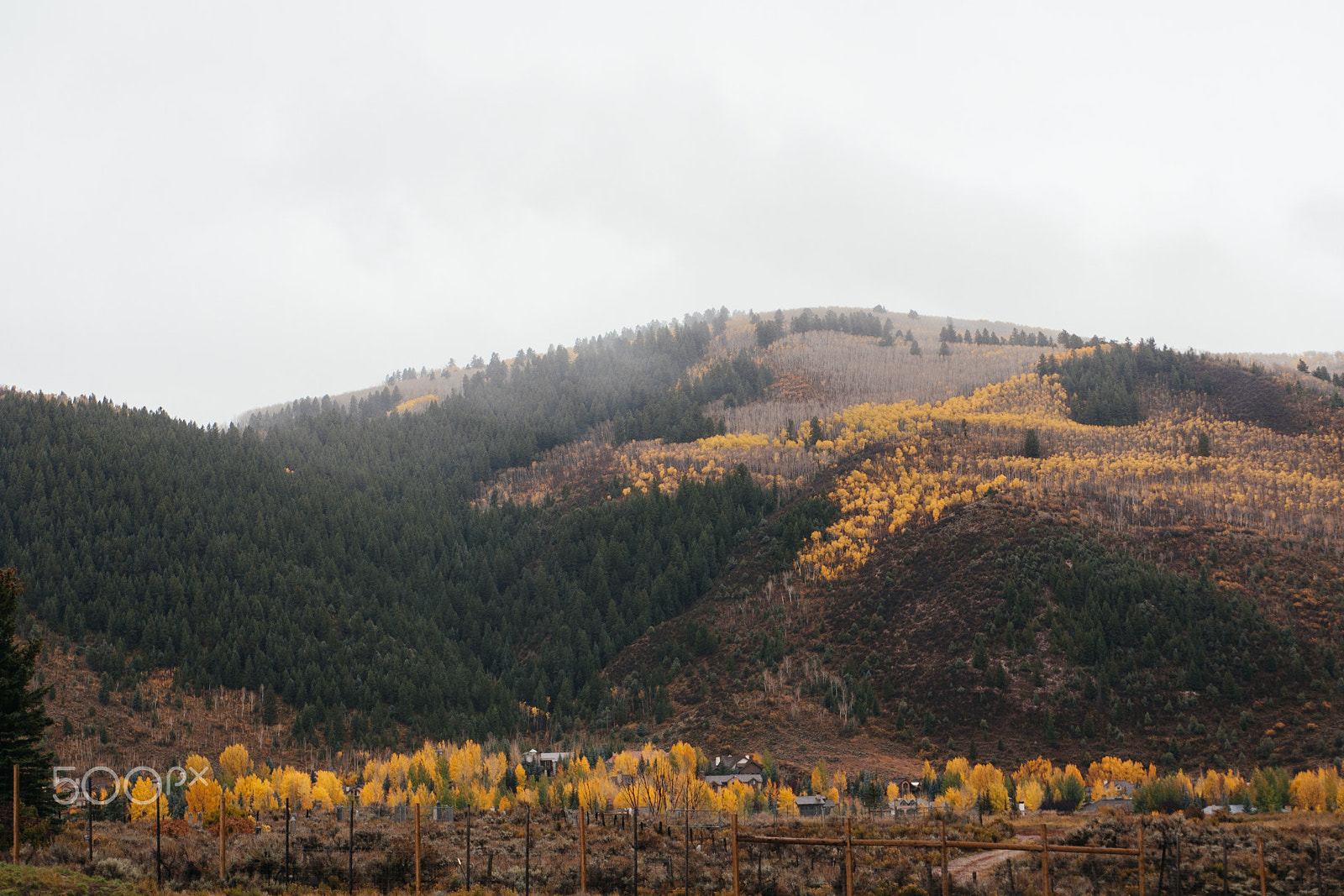 Canon EOS 5D + EF28-70mm f/2.8L USM sample photo. Colorado autumn photography