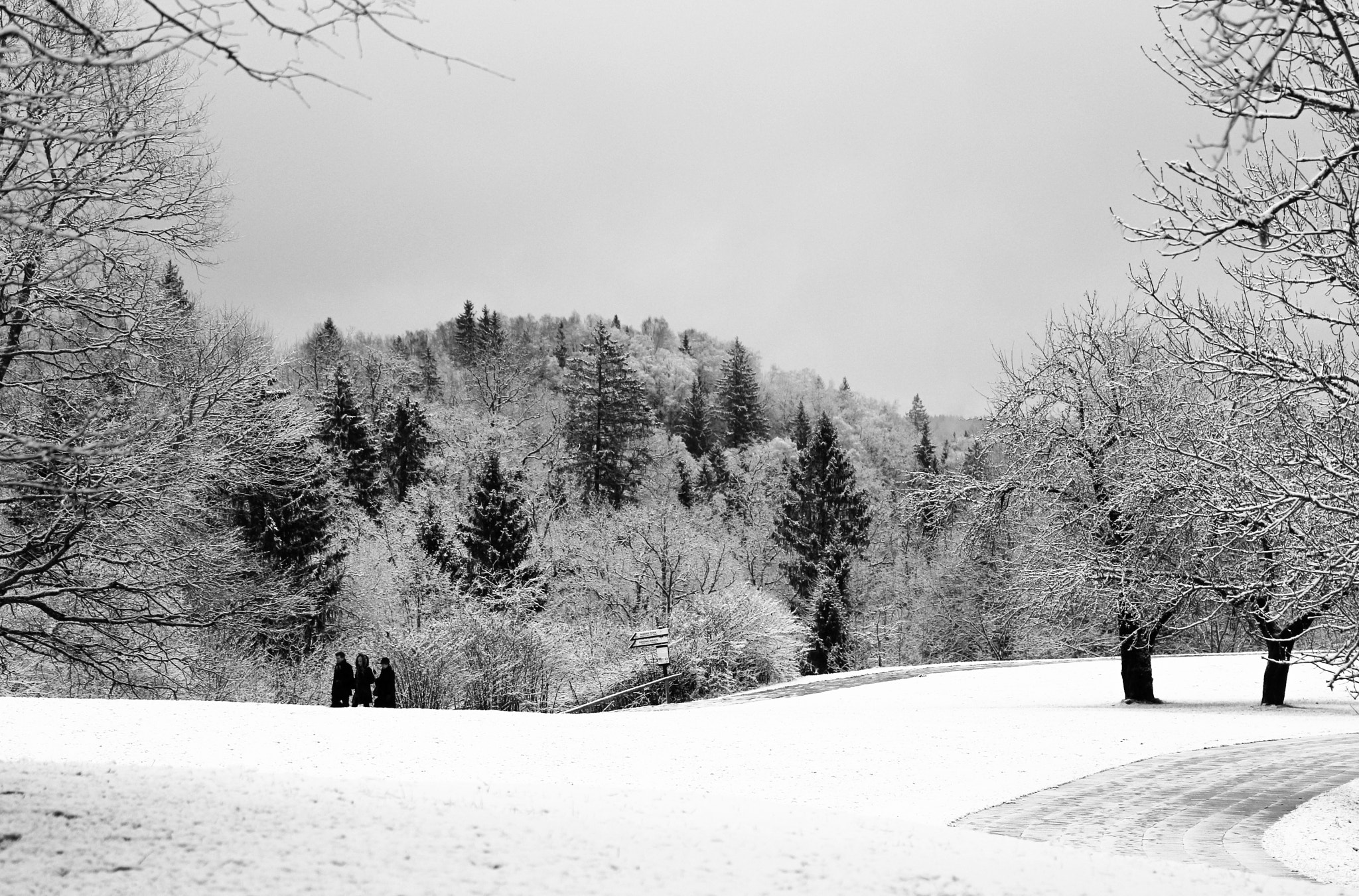 Canon EOS 550D (EOS Rebel T2i / EOS Kiss X4) + Canon EF 70-200mm F4L IS USM sample photo. Sigulda photography