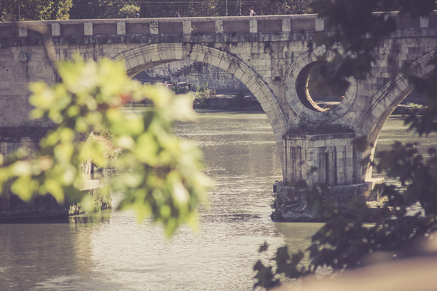 Canon EOS 550D (EOS Rebel T2i / EOS Kiss X4) sample photo. Trastevere | roma | italia photography