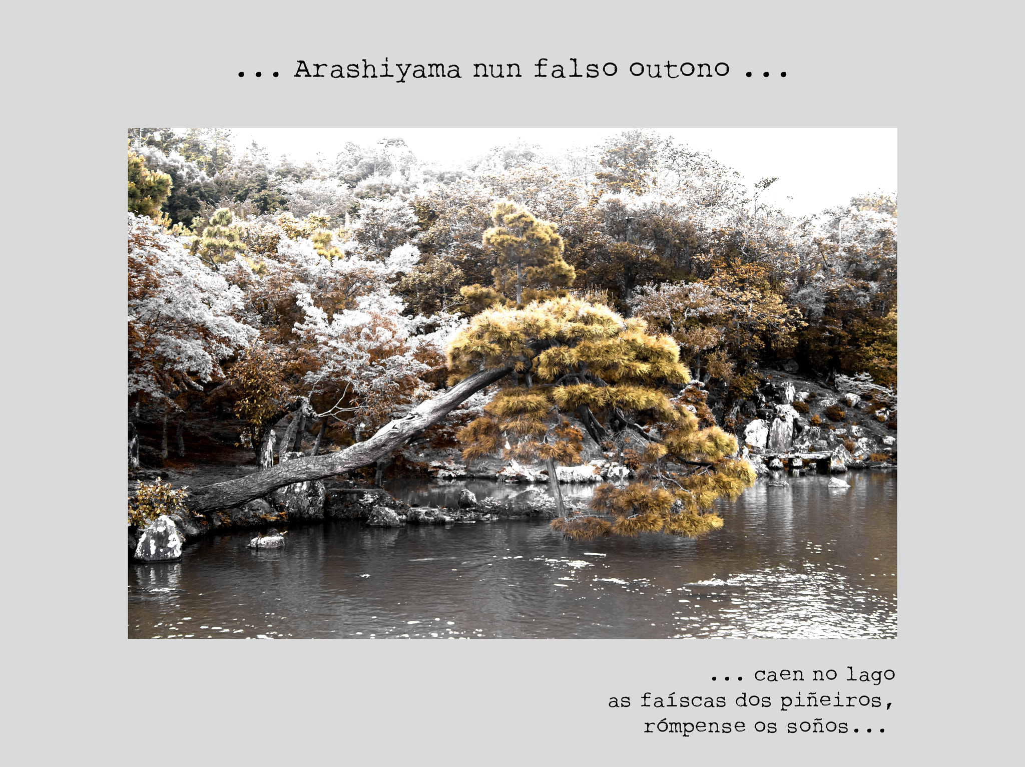 Nikon D300S sample photo