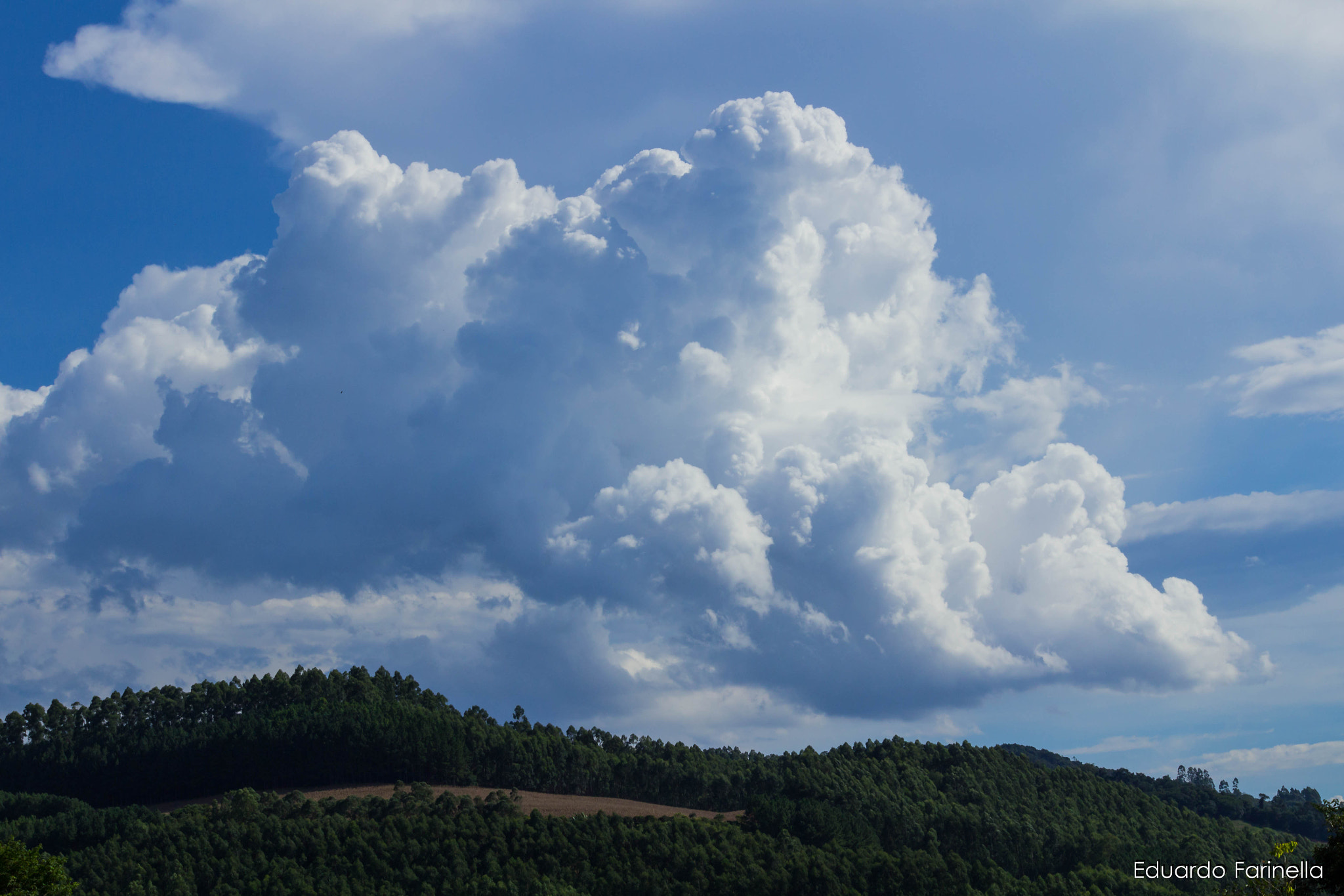 Canon EF-S 55-250mm F4-5.6 IS II sample photo. Img photography