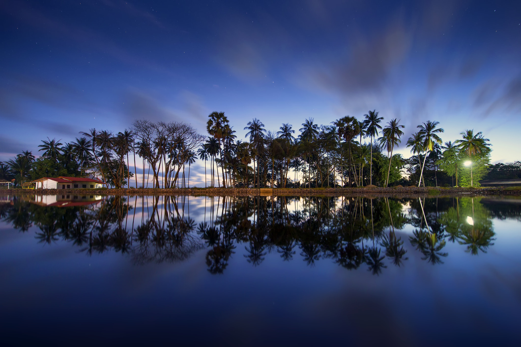 Canon EF 300mm f/2.8L sample photo. Reflection of tree in lake photography