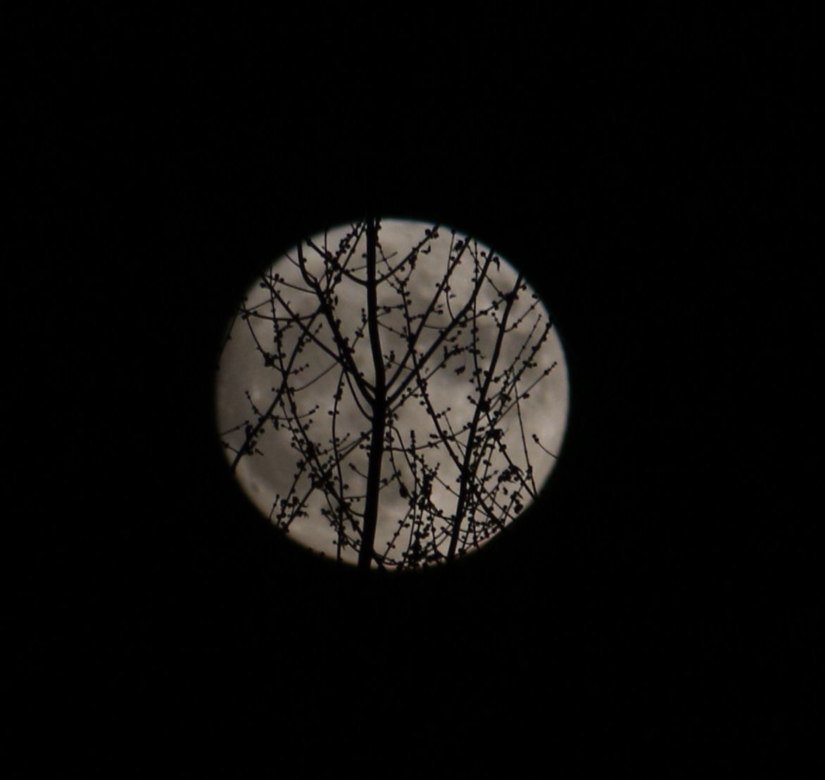Canon EF 55-200mm F4.5-5.6 II USM sample photo. Moon photography