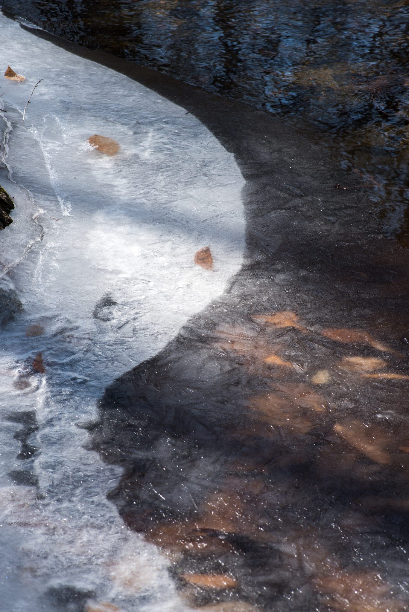 Pentax smc D-FA 100mm F2.8 Macro WR sample photo. Leaves in ice and open water photography