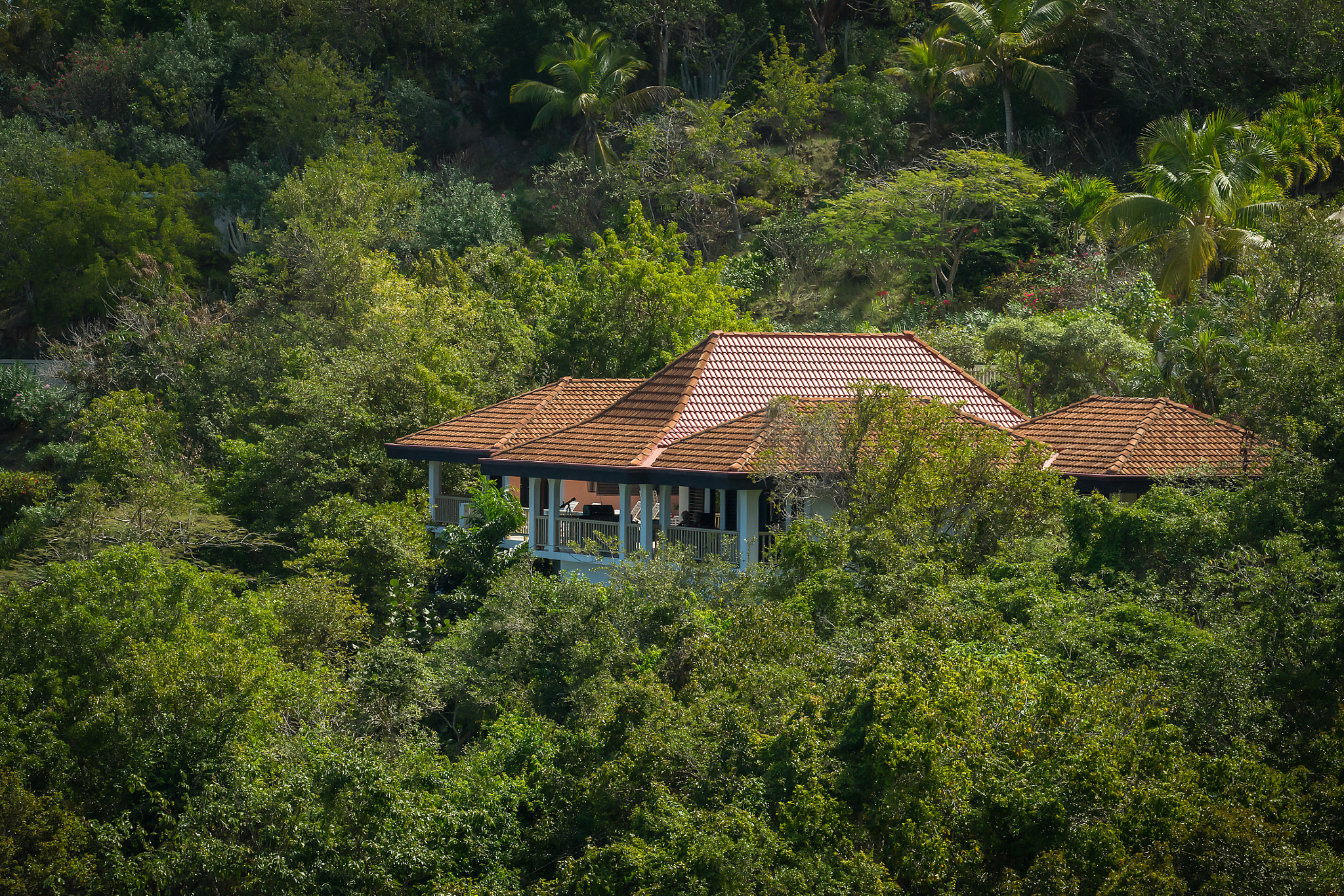 Sony a7 + Sony FE 70-300mm F4.5-5.6 G OSS sample photo. House in the forest photography