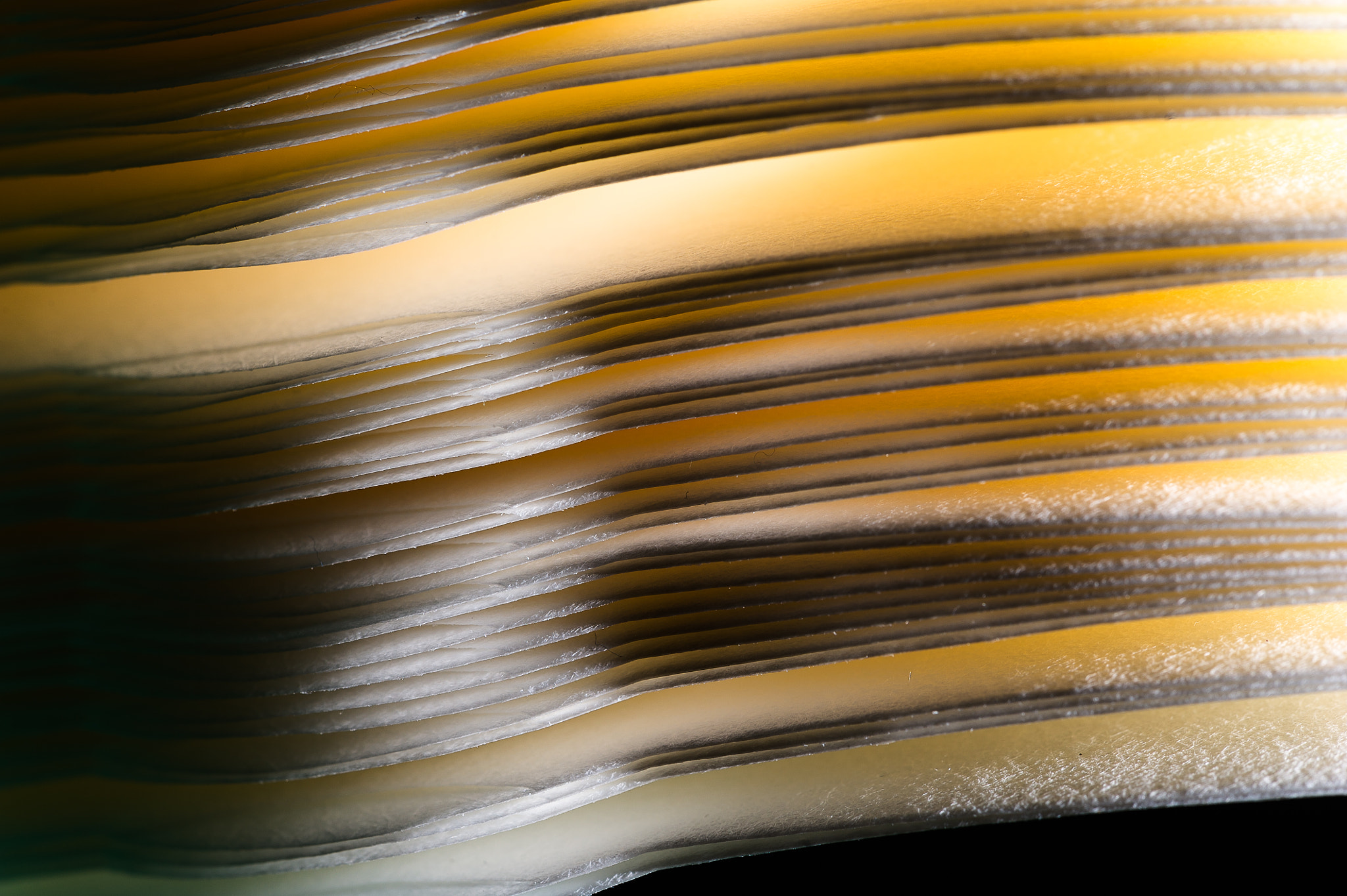 Sigma 150mm F2.8 EX DG Macro HSM sample photo. Turning pages photography