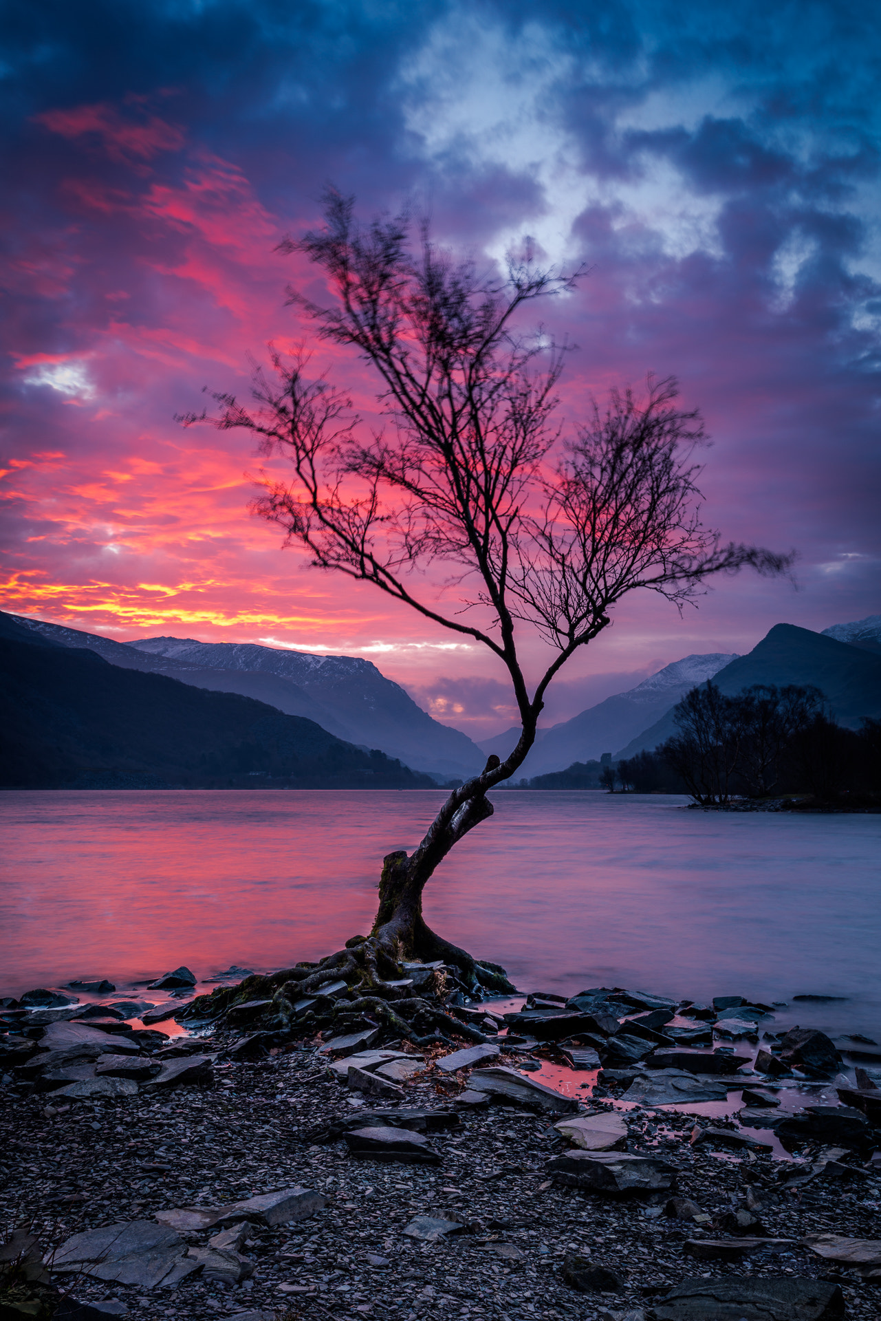Nikon AF-S Nikkor 18-35mm F3.5-4.5G ED sample photo. The lone tree of snowdonia photography