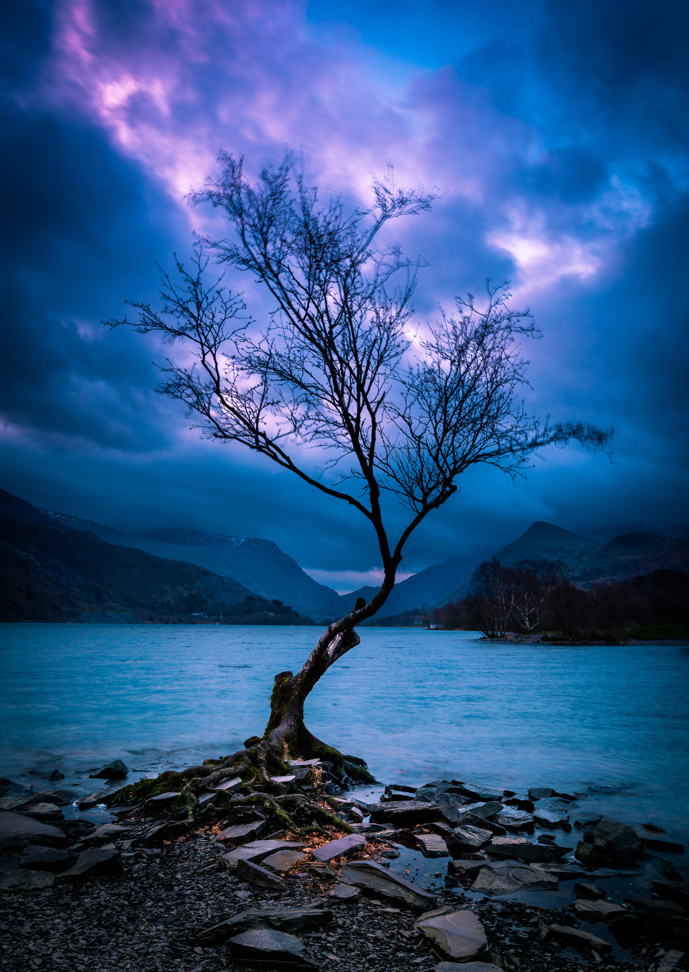 Nikon AF-S Nikkor 18-35mm F3.5-4.5G ED sample photo. The lone tree of snowdonia photography