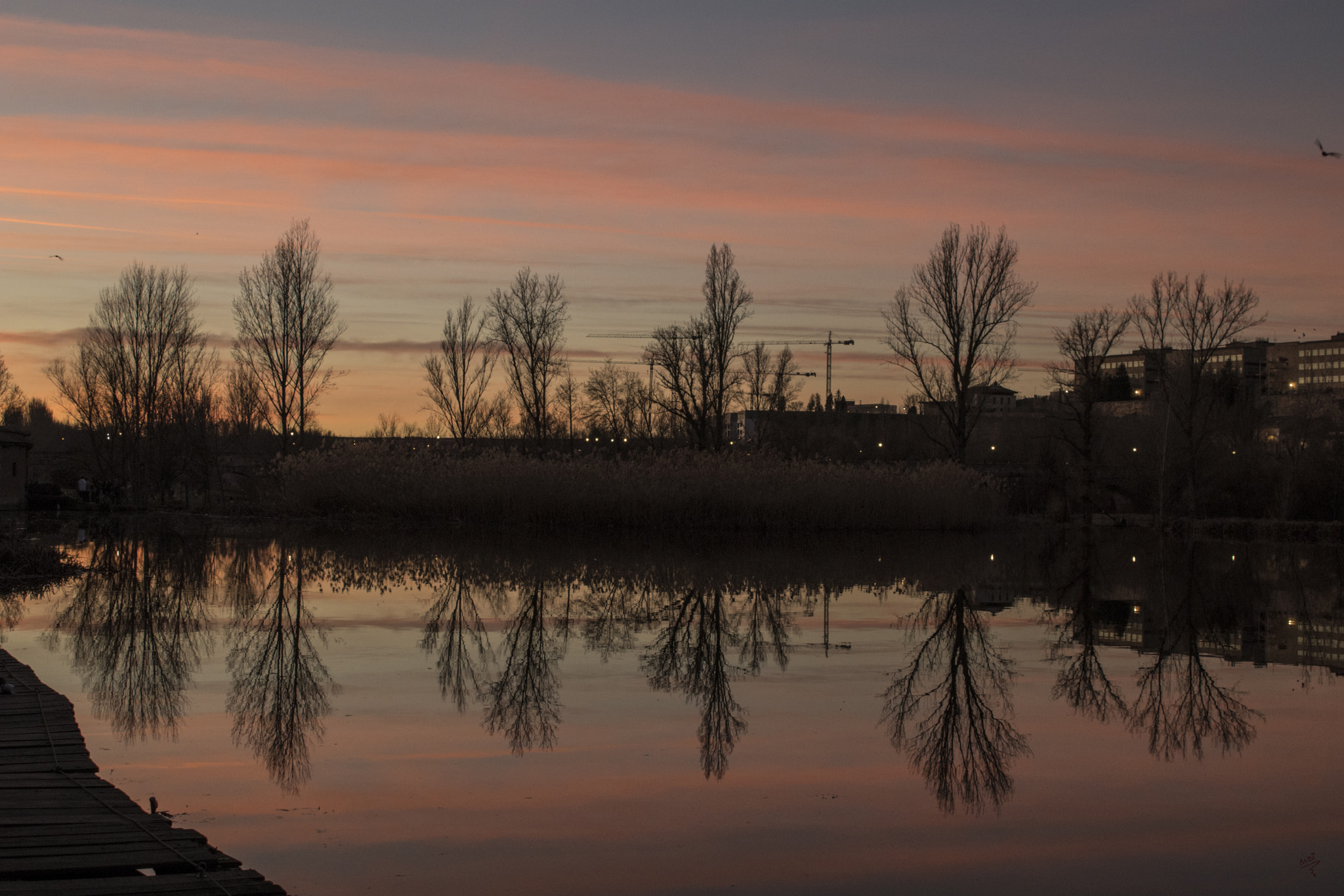 Canon EF-S 18-55mm F3.5-5.6 IS sample photo. Atardecer magenta photography