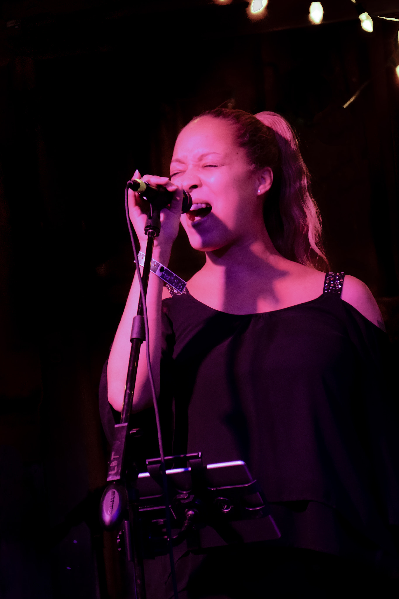Sony E 55-210mm F4.5-6.3 OSS sample photo. Jacqui walker band photography