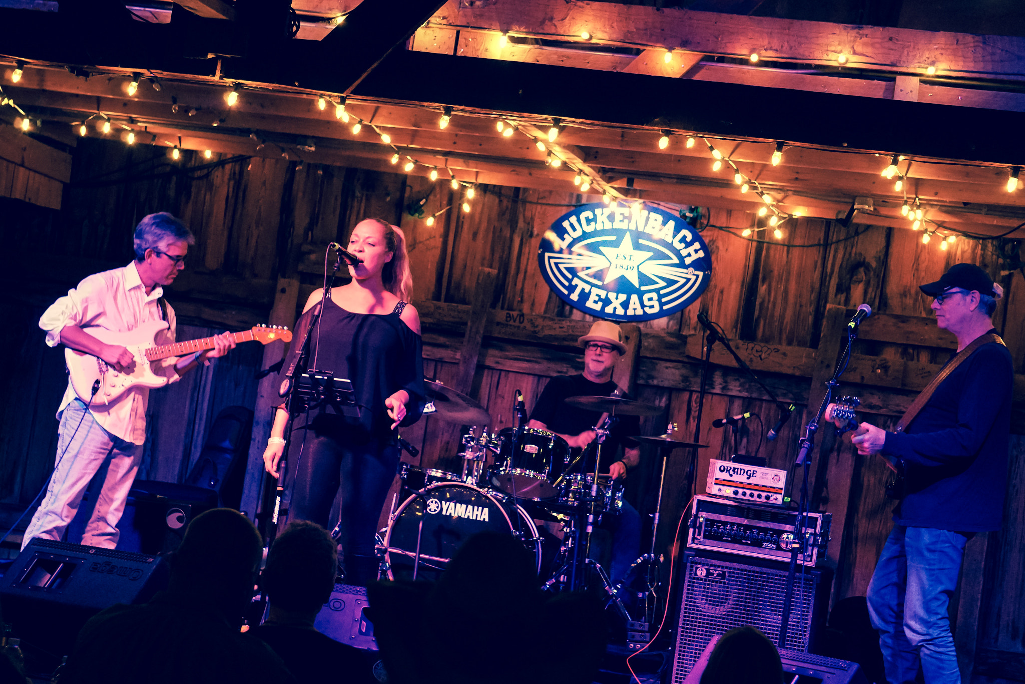Sony E 55-210mm F4.5-6.3 OSS sample photo. Jacqui walker band photography