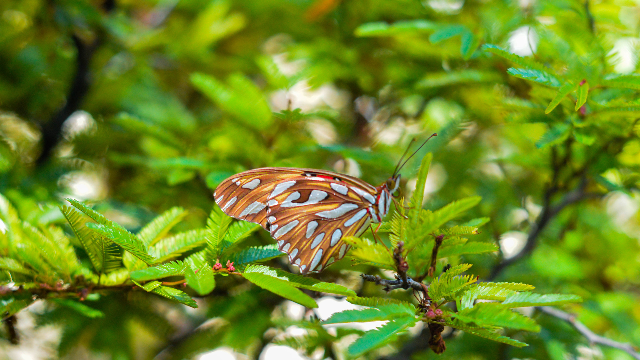Nikon D3200 sample photo. Dsc photography