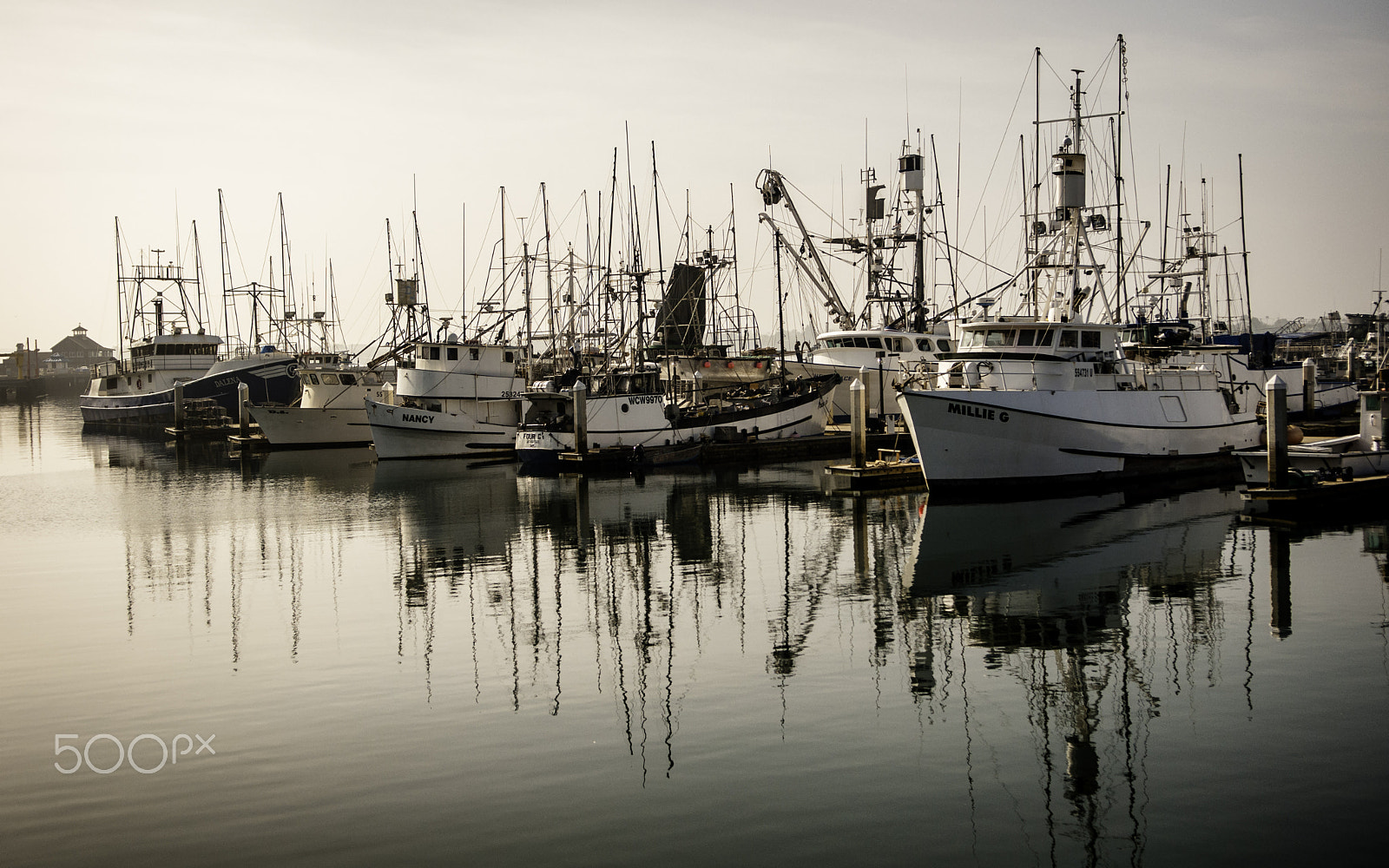 Nikon D300S sample photo. San diego marina photography