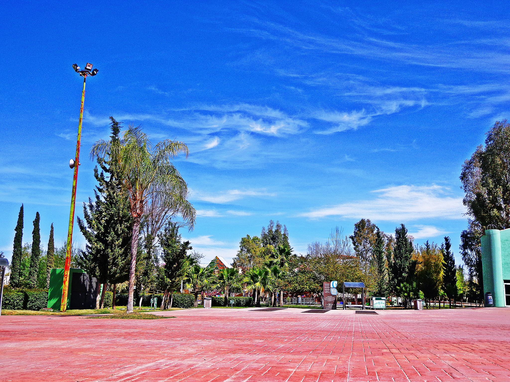Sony DSC-W630 sample photo. Bosque urbano photography