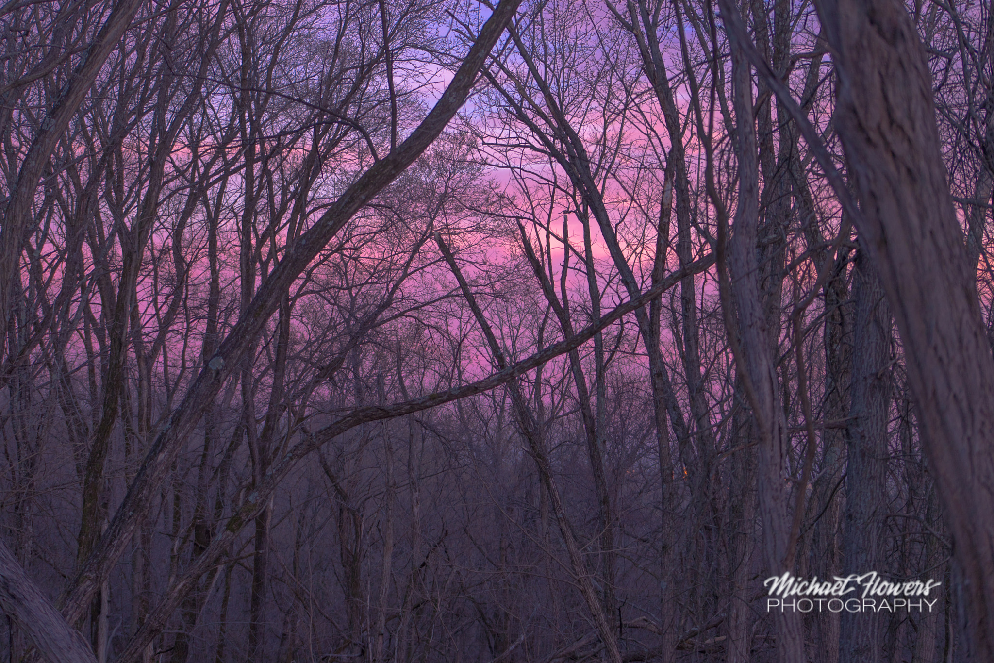 EF75-300mm f/4-5.6 sample photo. Violet twighlight photography