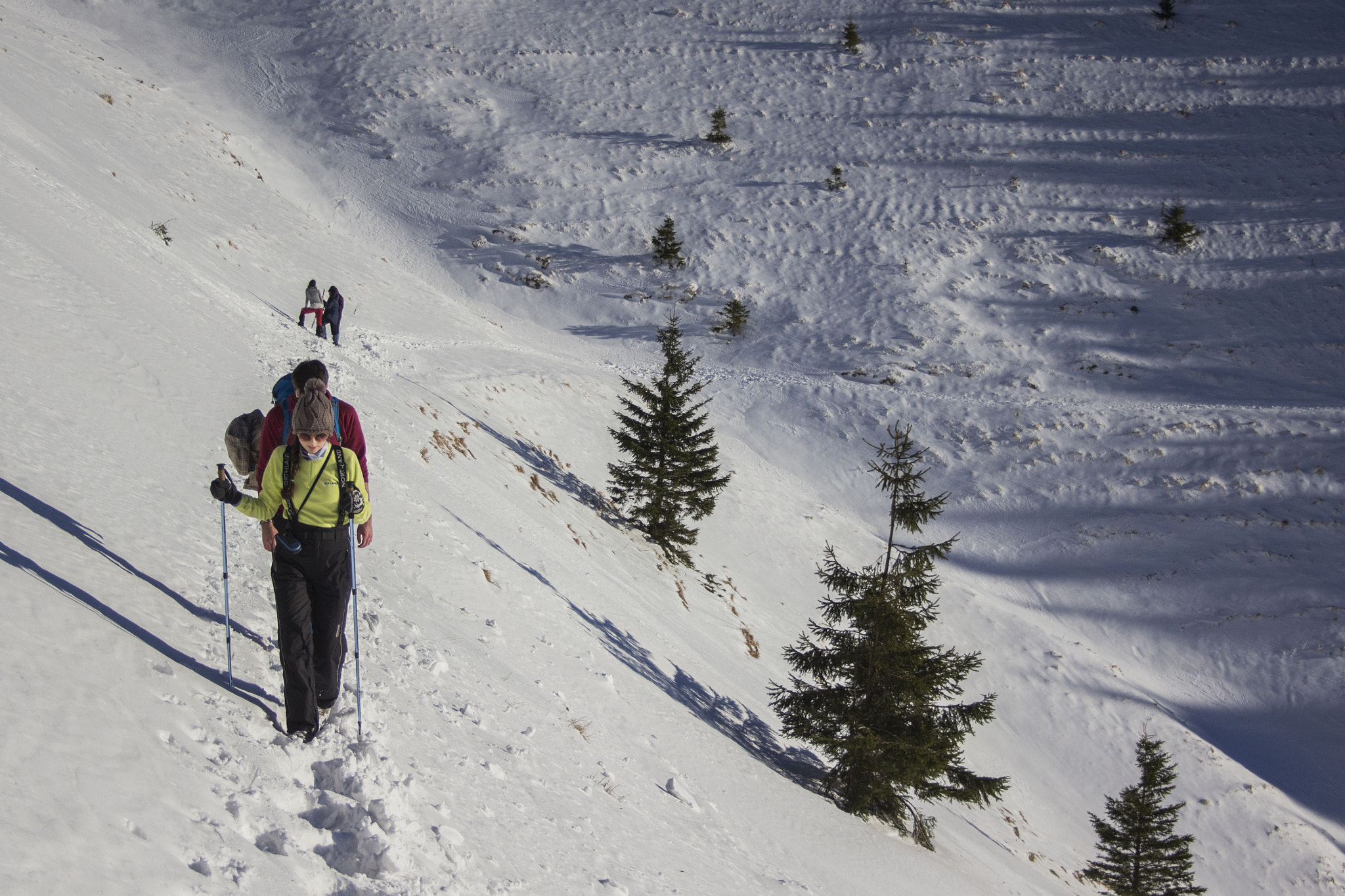 Canon EF-S 18-55mm F3.5-5.6 II sample photo. Traversing the snow covered slope of mala fatra photography