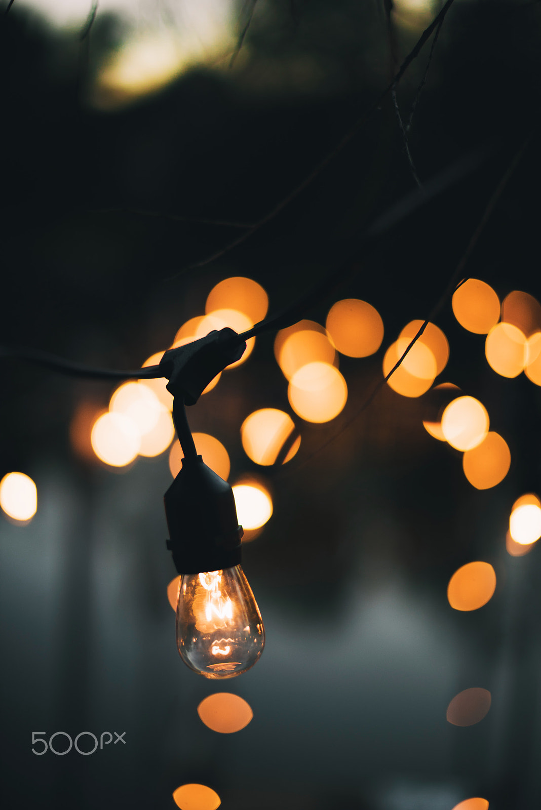 Nikon D810 + Nikon AF-S Nikkor 50mm F1.4G sample photo. Edison lights photography