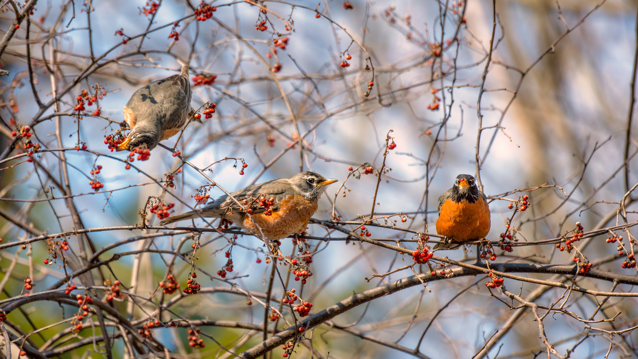 Nikon D810 sample photo. Looking for spring photography