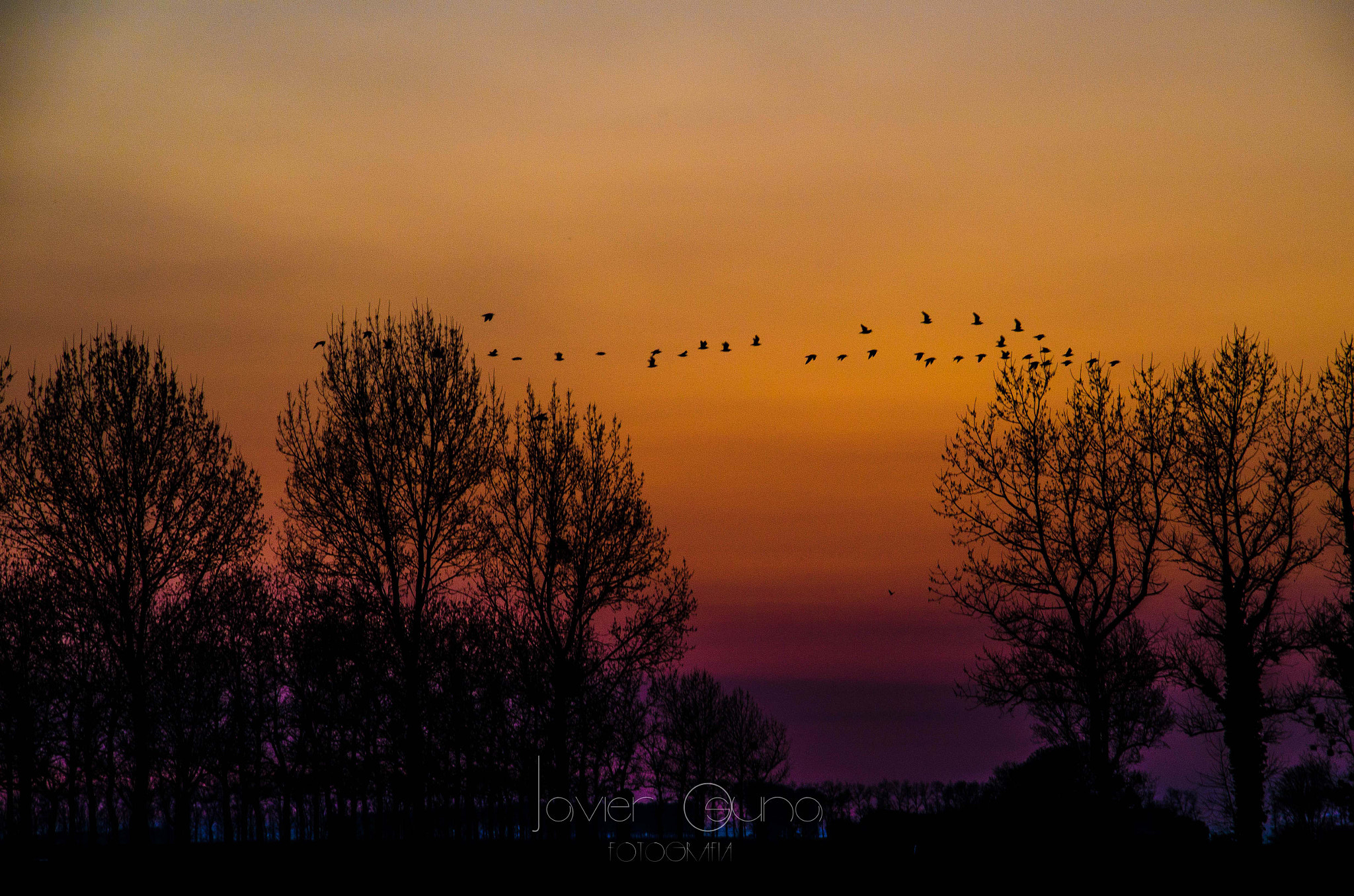 Sigma 18-200mm F3.5-6.3 II DC OS HSM sample photo. Tarde photography