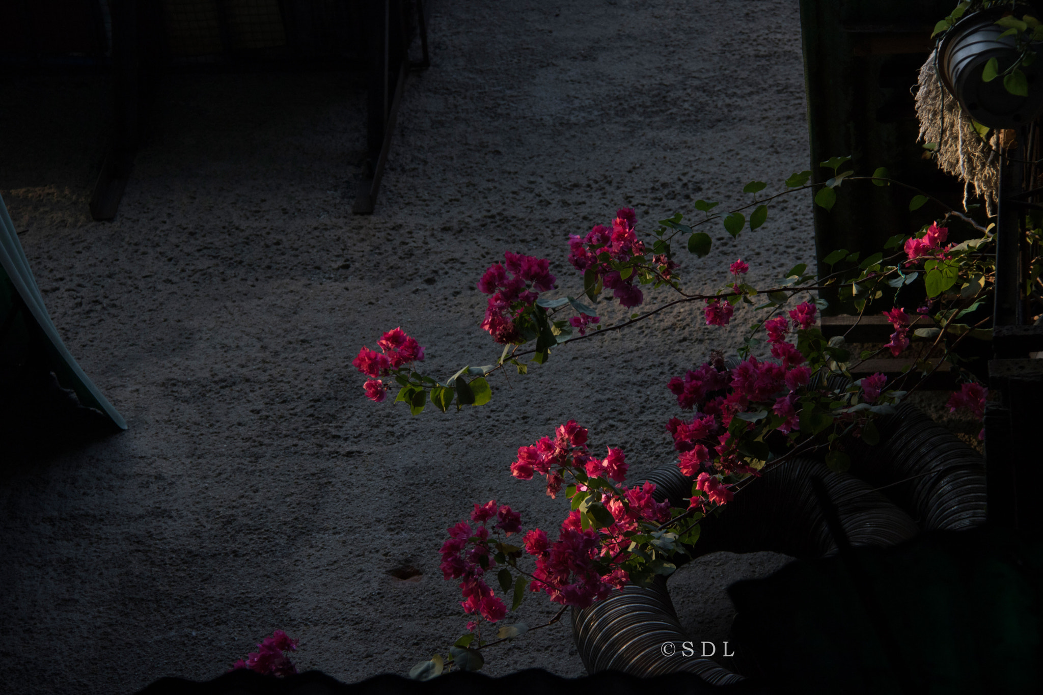 Canon EOS 760D (EOS Rebel T6s / EOS 8000D) sample photo. 简单 photography